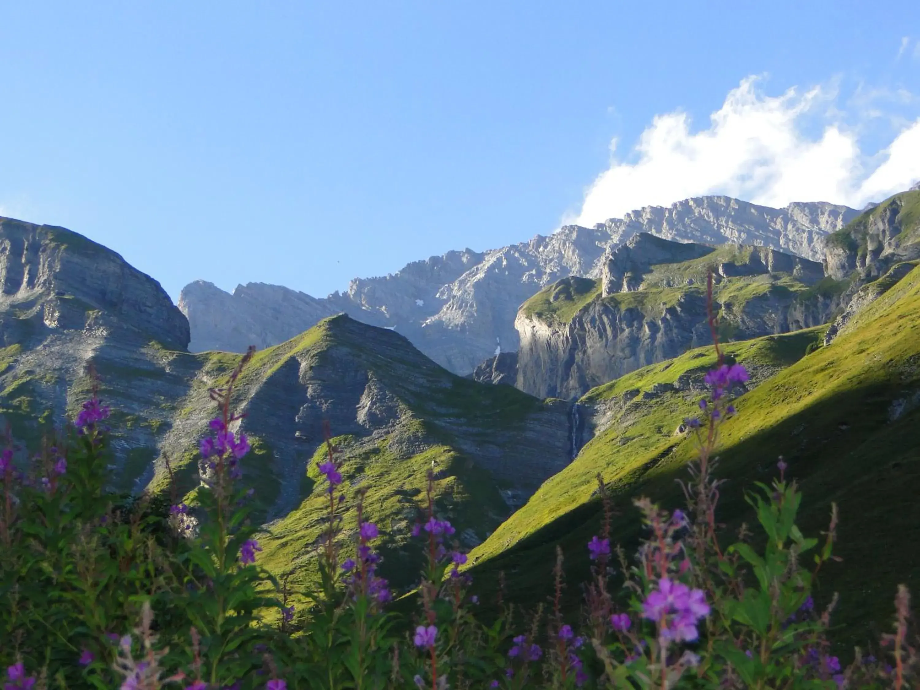 Natural landscape, Mountain View in Hôtel des Bains d'Ovronnaz