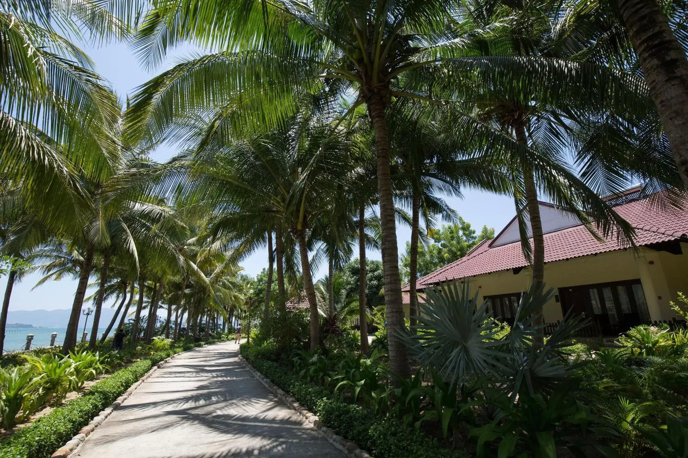 Sea view, Property Building in Diamond Bay Resort & Spa