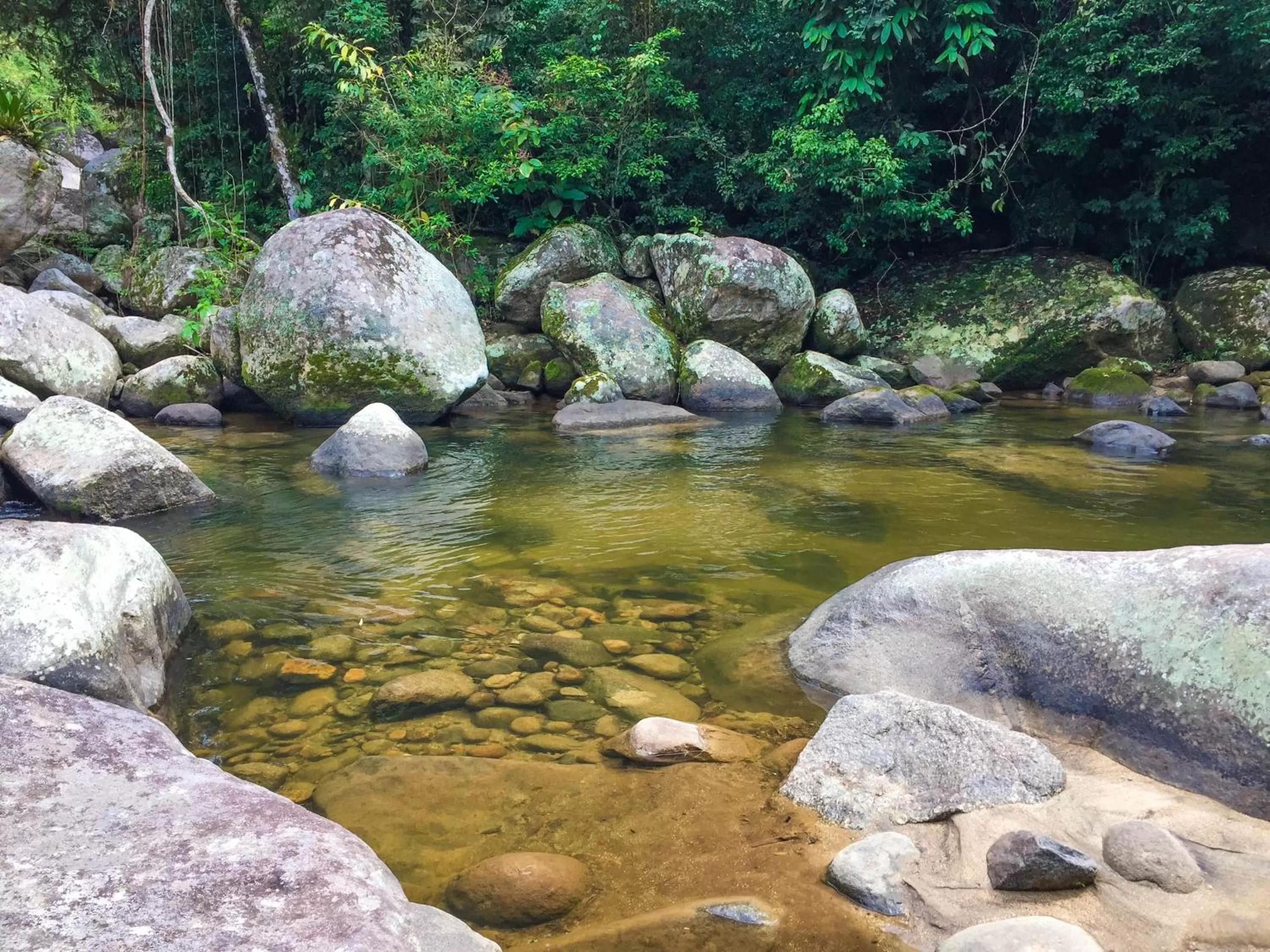 Natural landscape in Pousada Canto do Curió Paraty