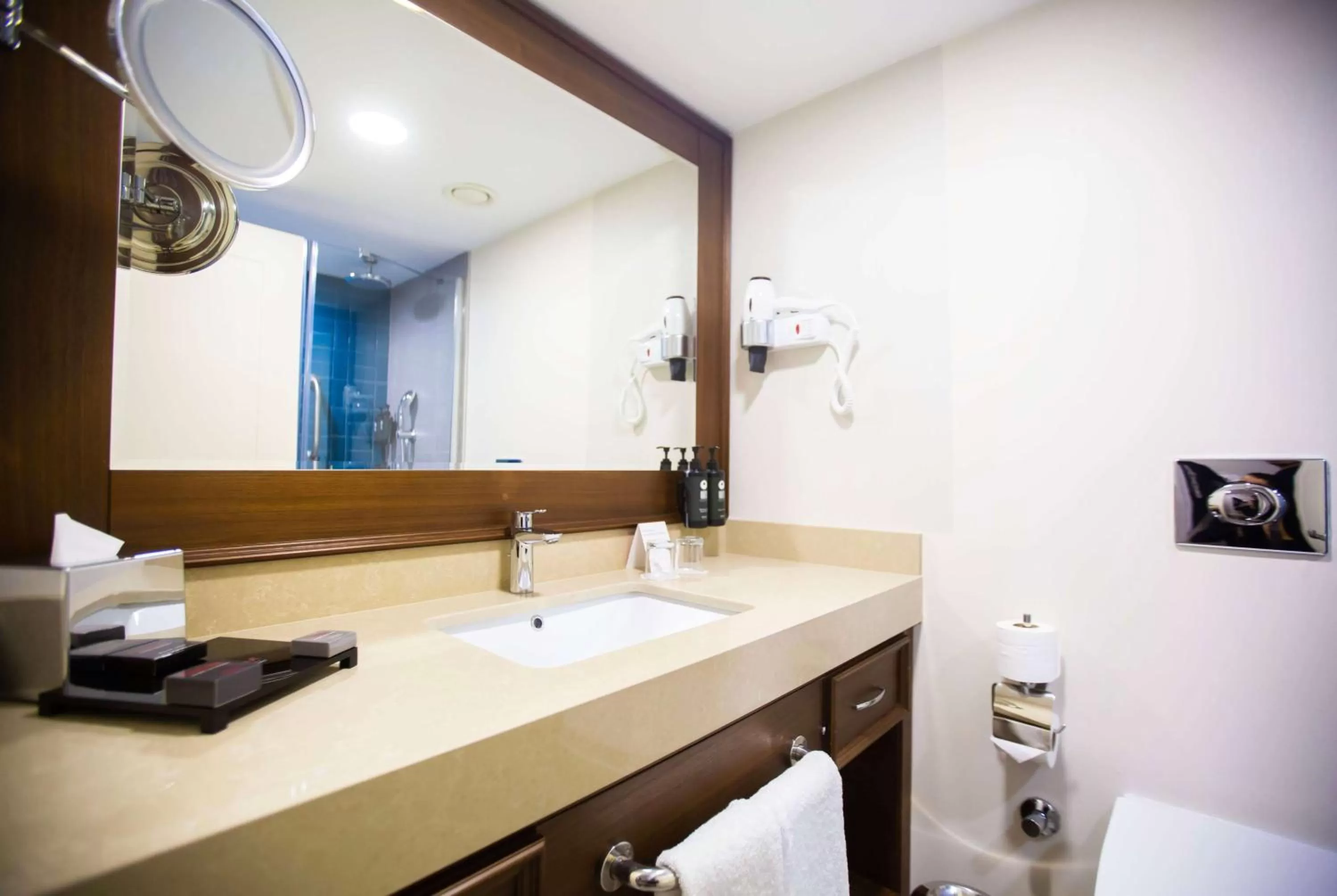 TV and multimedia in Ramada Plaza Sultanahmet