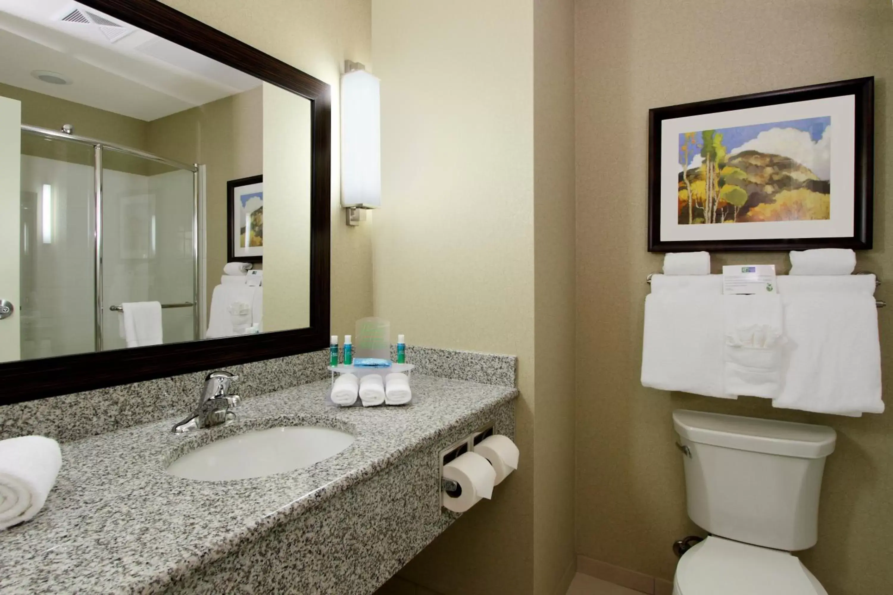 Photo of the whole room, Bathroom in Holiday Inn Express - Colorado Springs - First & Main, an IHG Hotel
