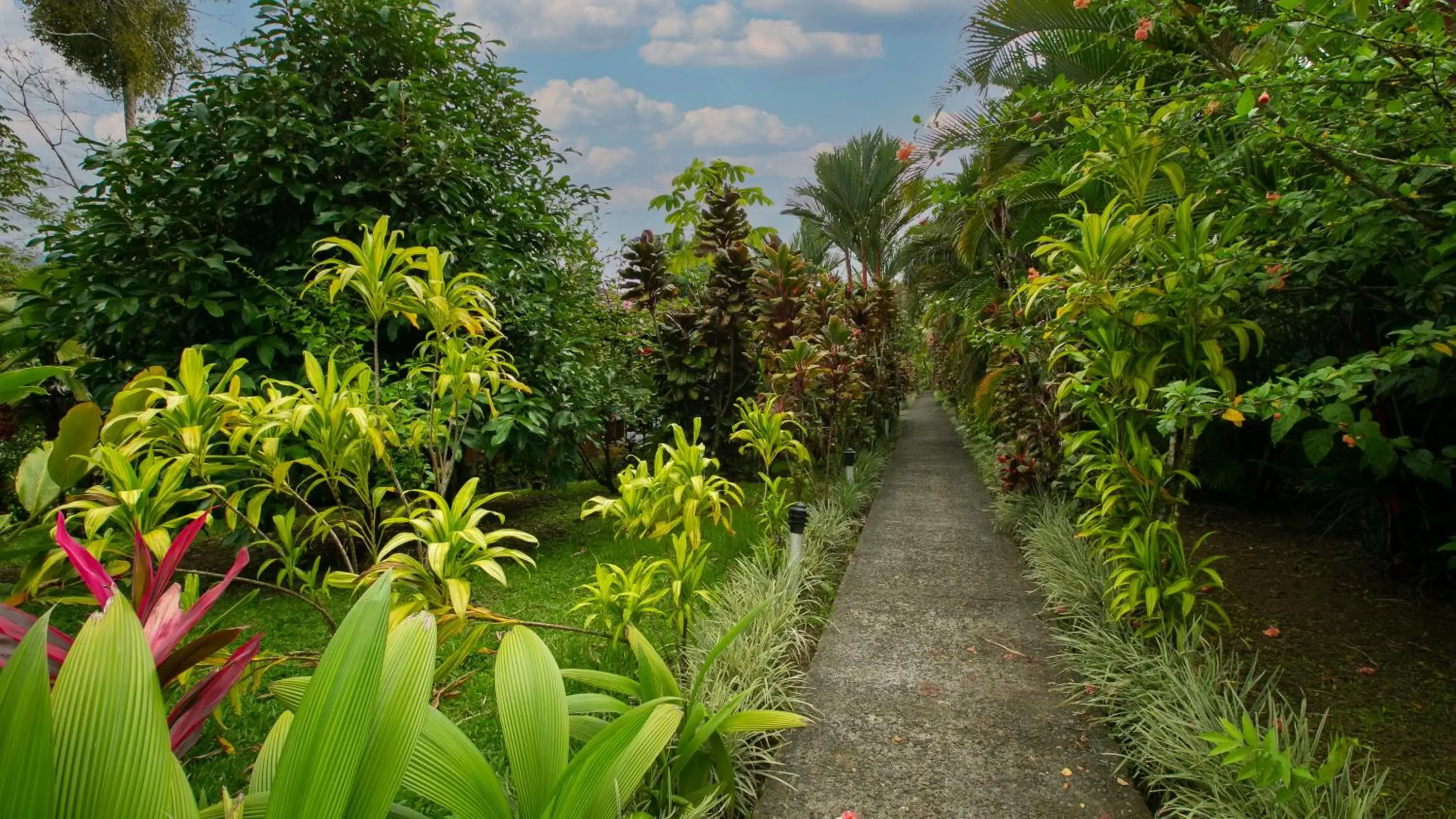 Garden in Hotel Rancho Cerro Azul