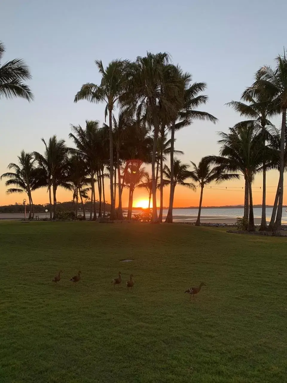 Sunset in The Resort at Dolphin Heads