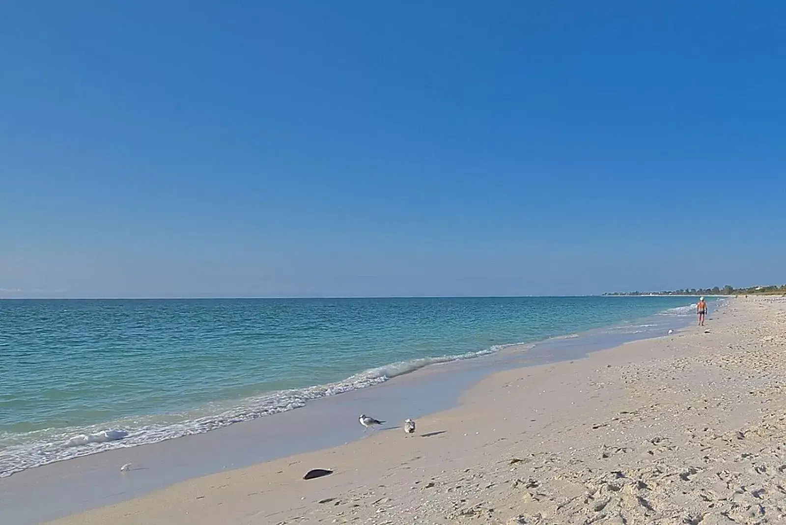 Property building, Beach in A Beach Retreat on Casey Key