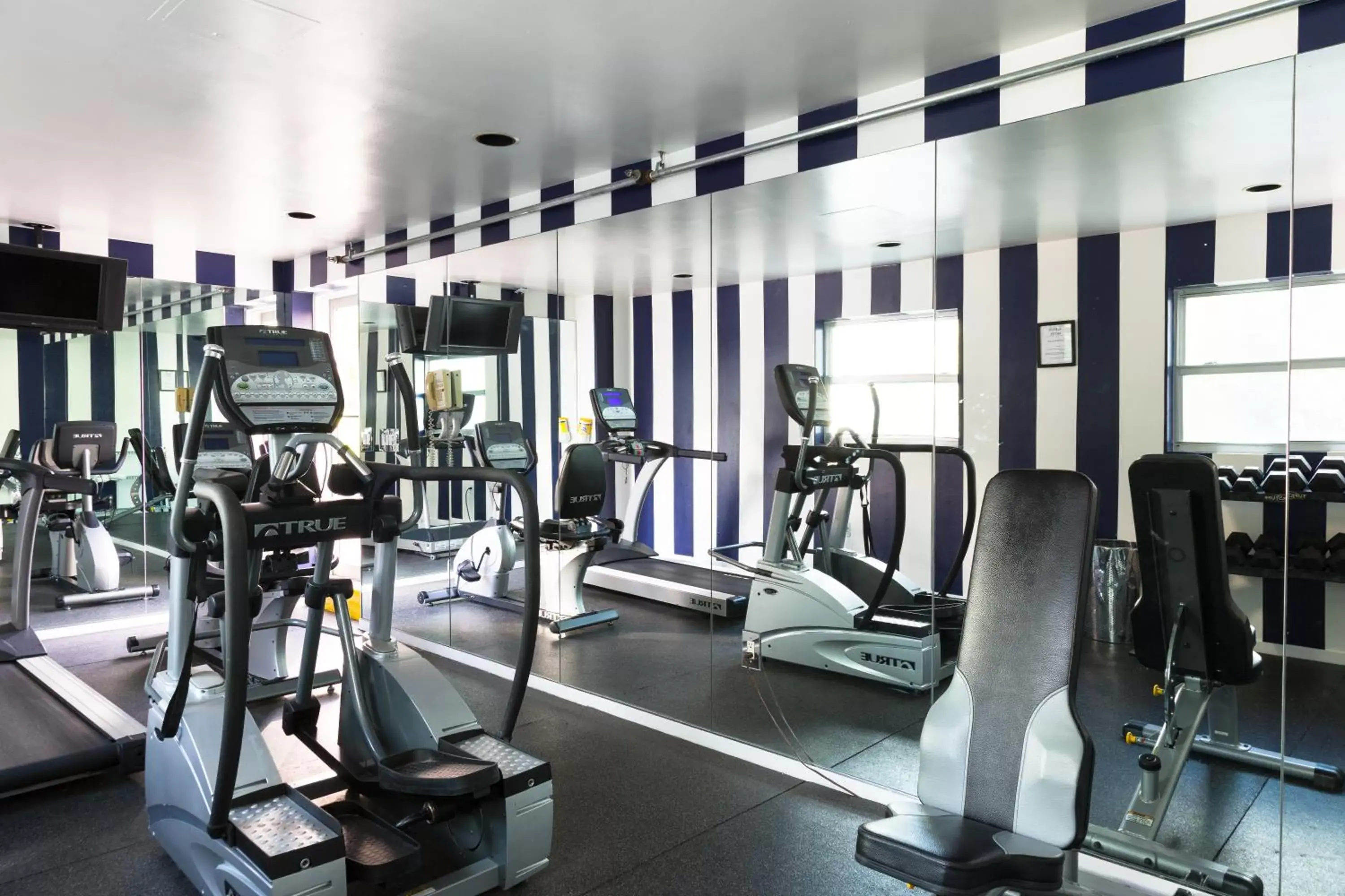 Fitness centre/facilities, Fitness Center/Facilities in Albion Hotel