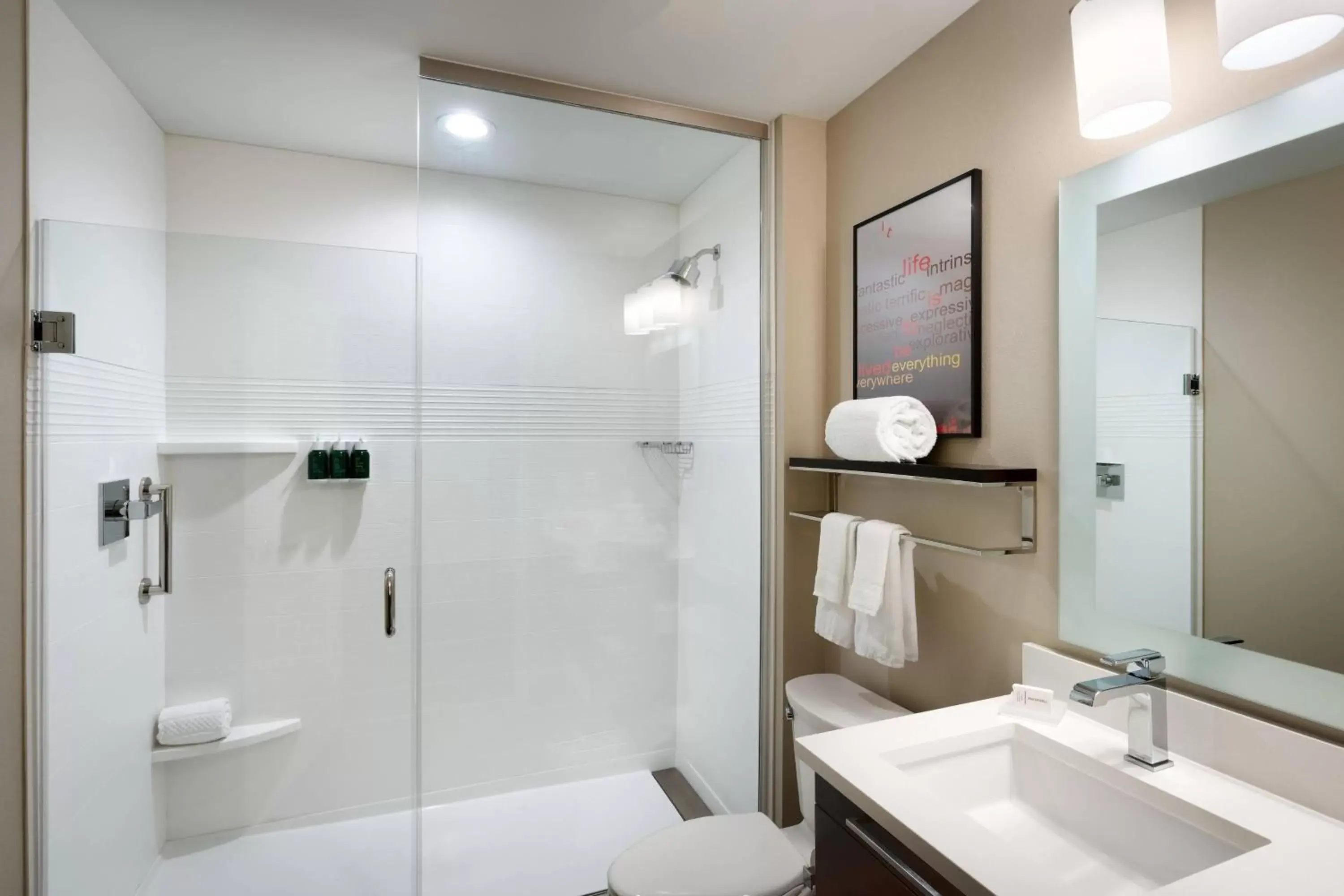 Bathroom in TownePlace Suites by Marriott Clovis