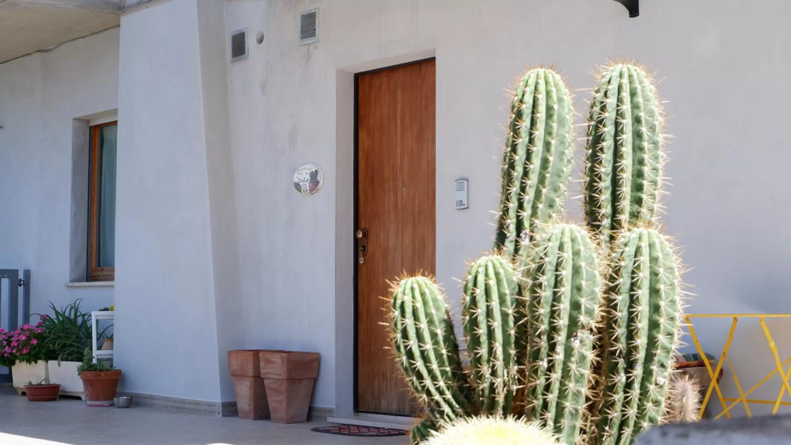 Facade/entrance in B&B del Cactus