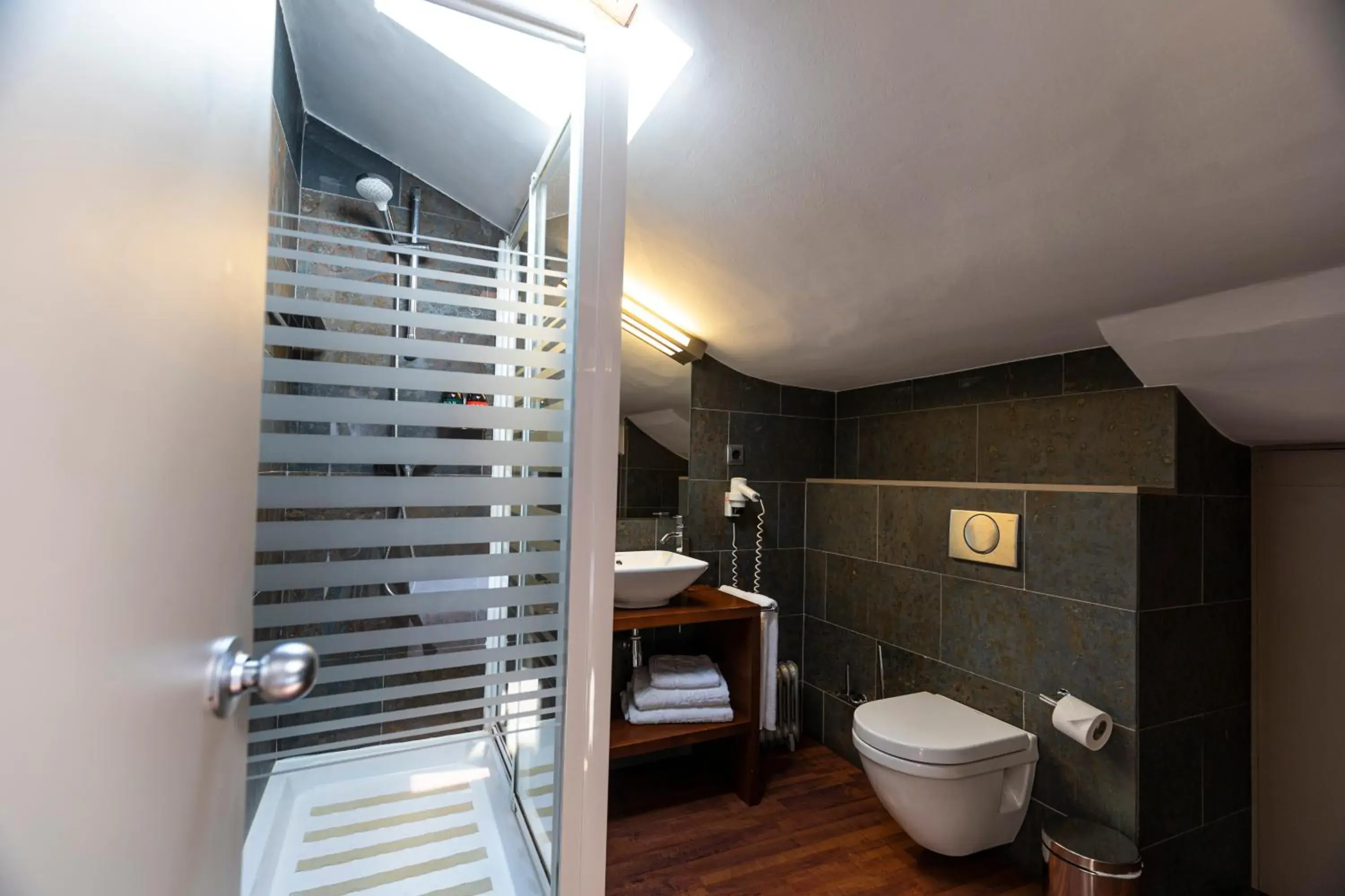 Shower, Bathroom in Hotel del Prado