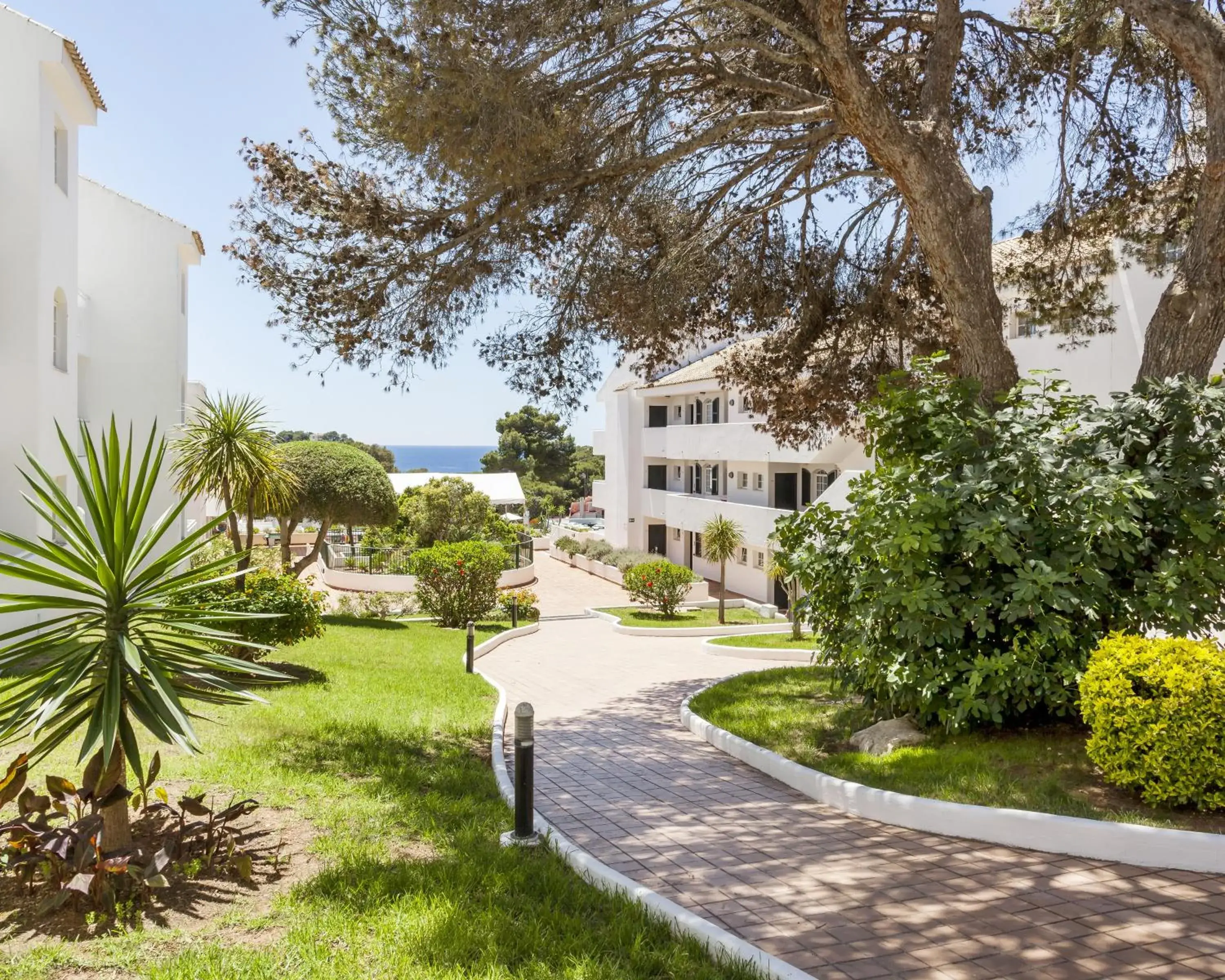 Garden, Property Building in Ilunion Menorca