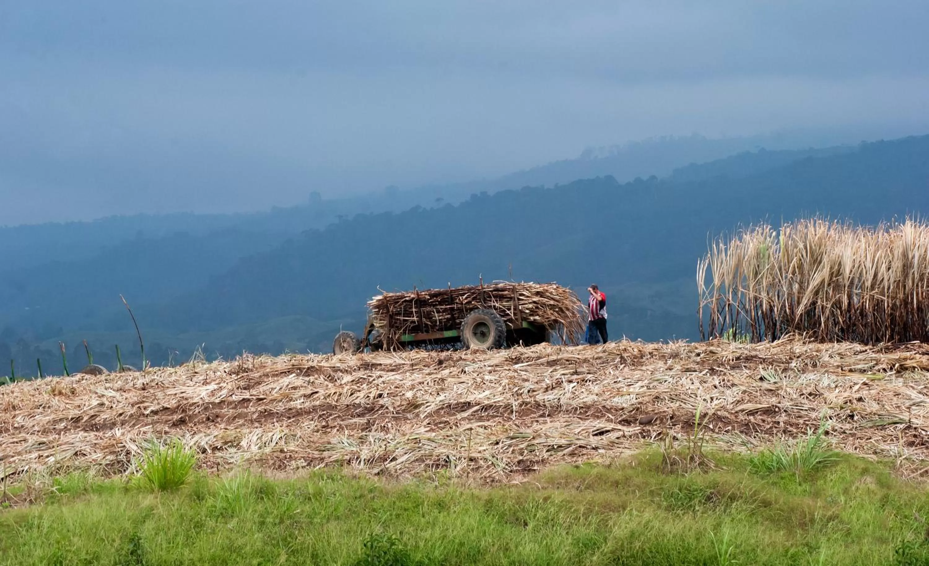 Nearby landmark in Hotel Villa Florencia