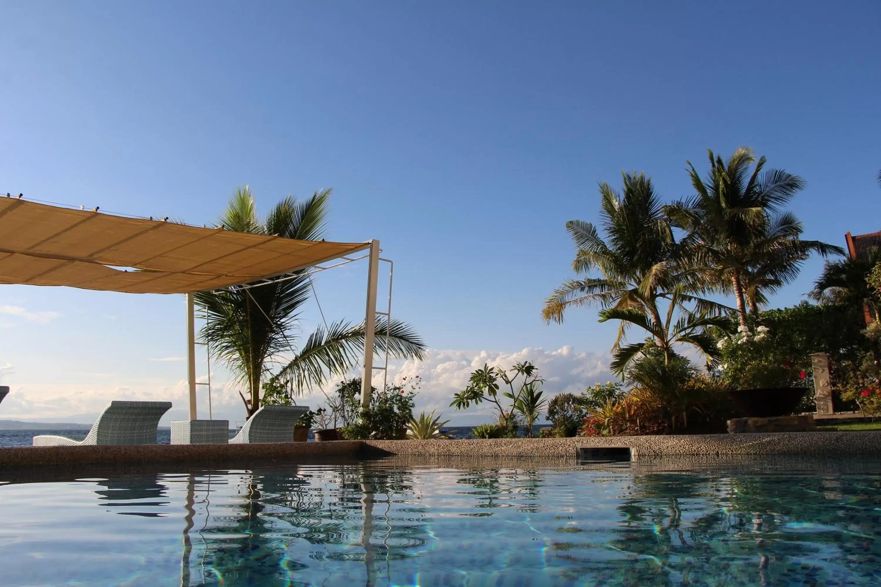 Swimming Pool in Emoha Dive Resort