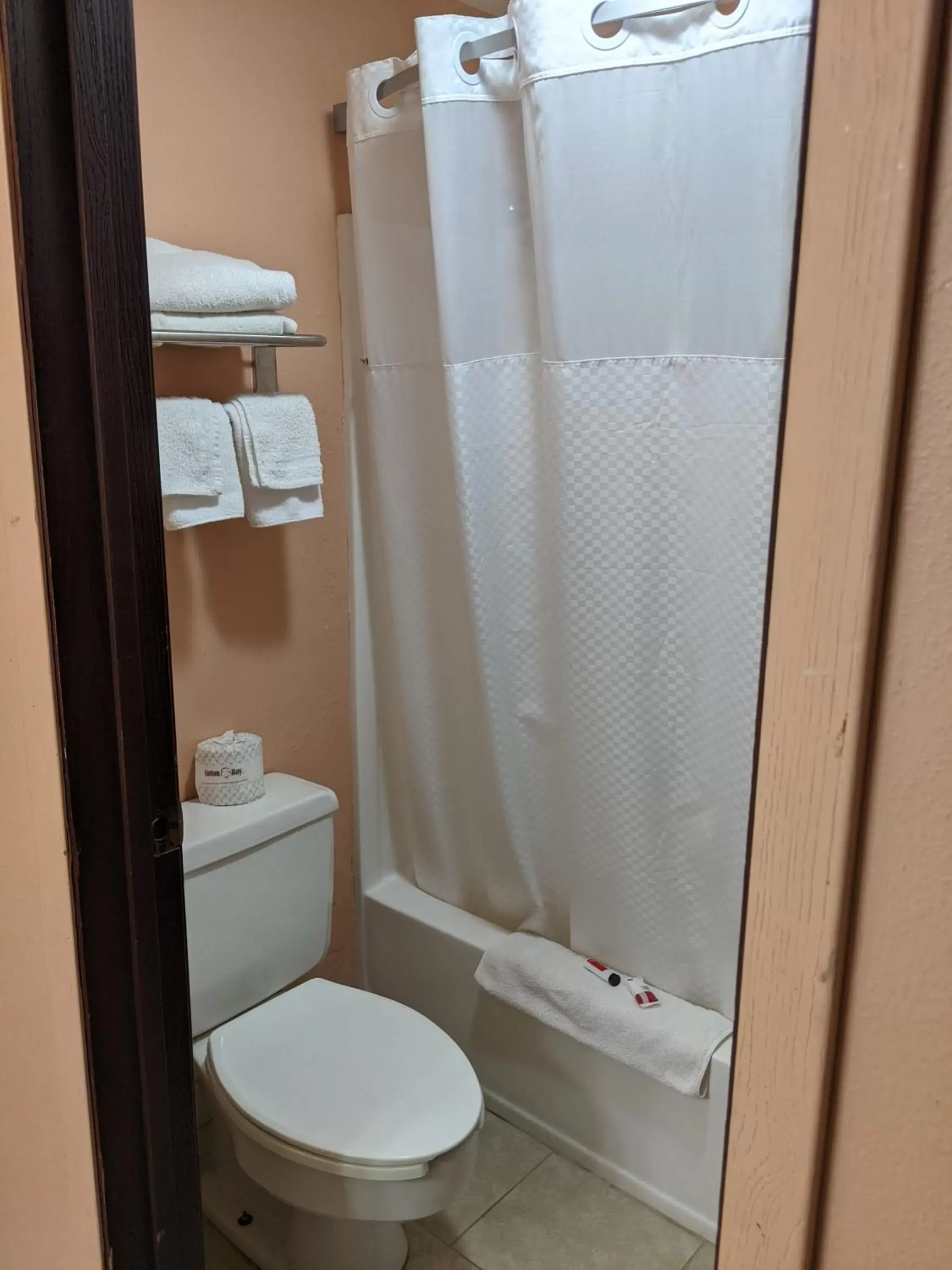 Bathroom in Super 8 by Wyndham Shelbyville