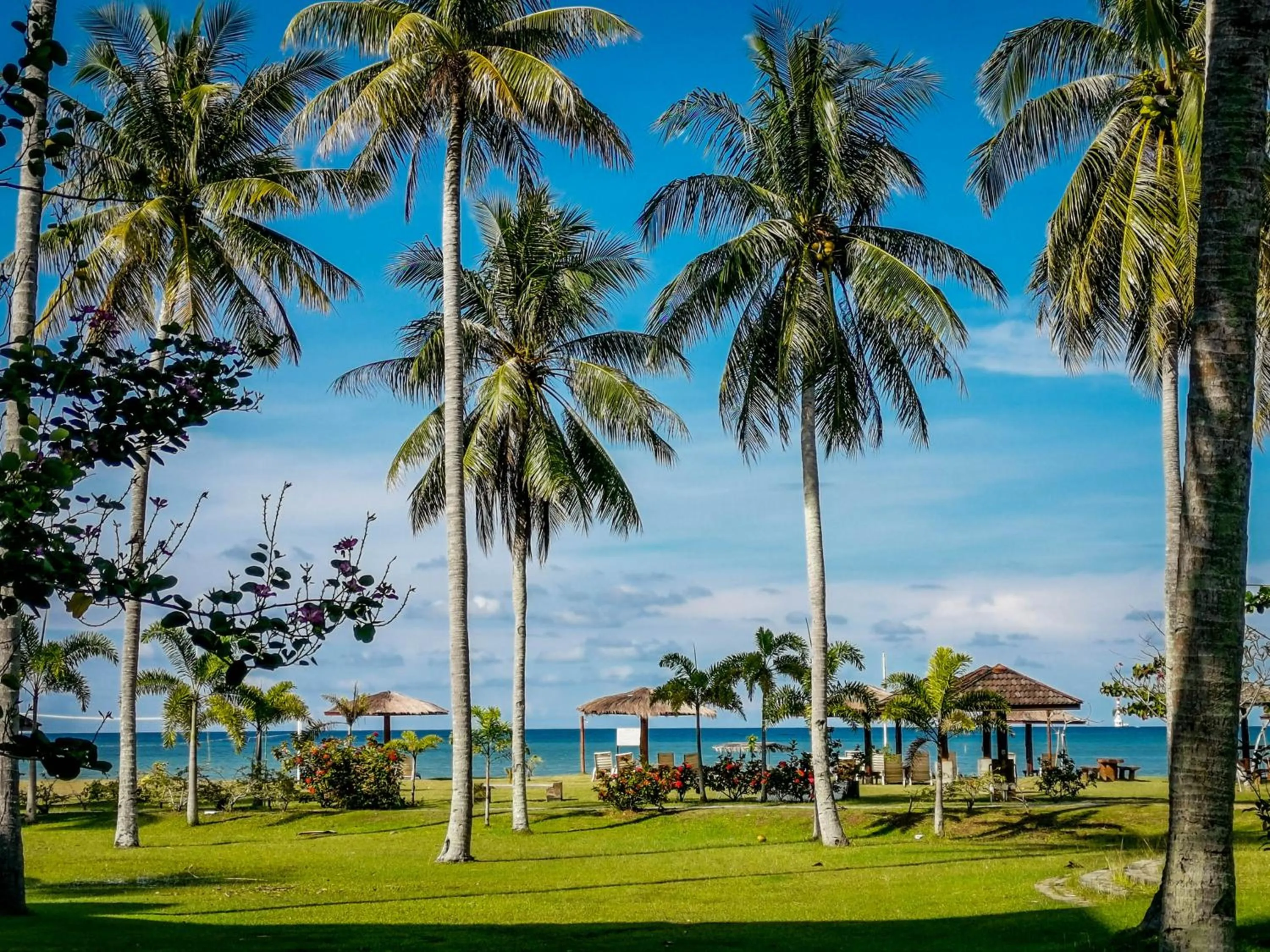 Beach in Palm Beach Resort & SPA
