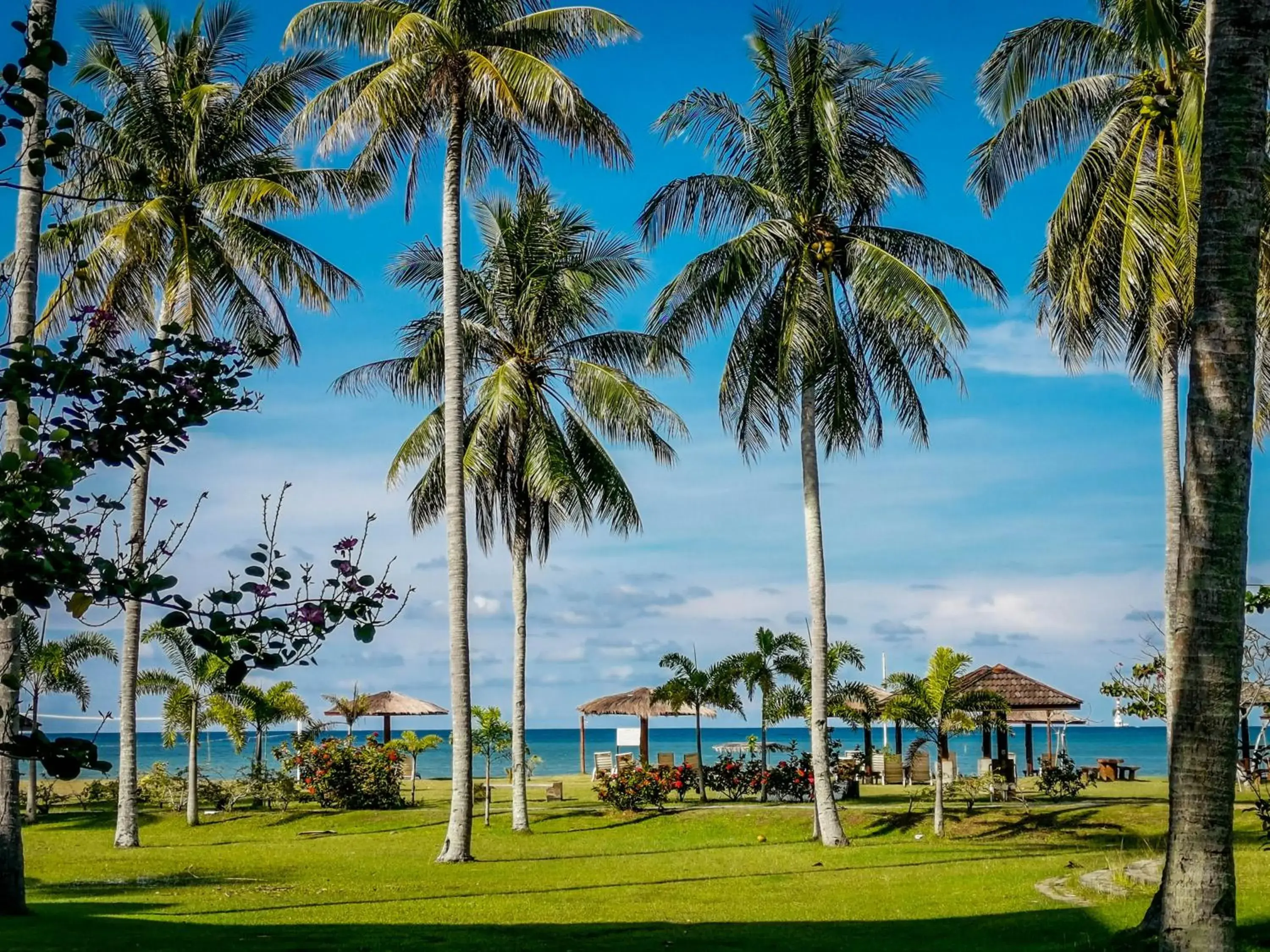 Beach in Palm Beach Resort & Spa