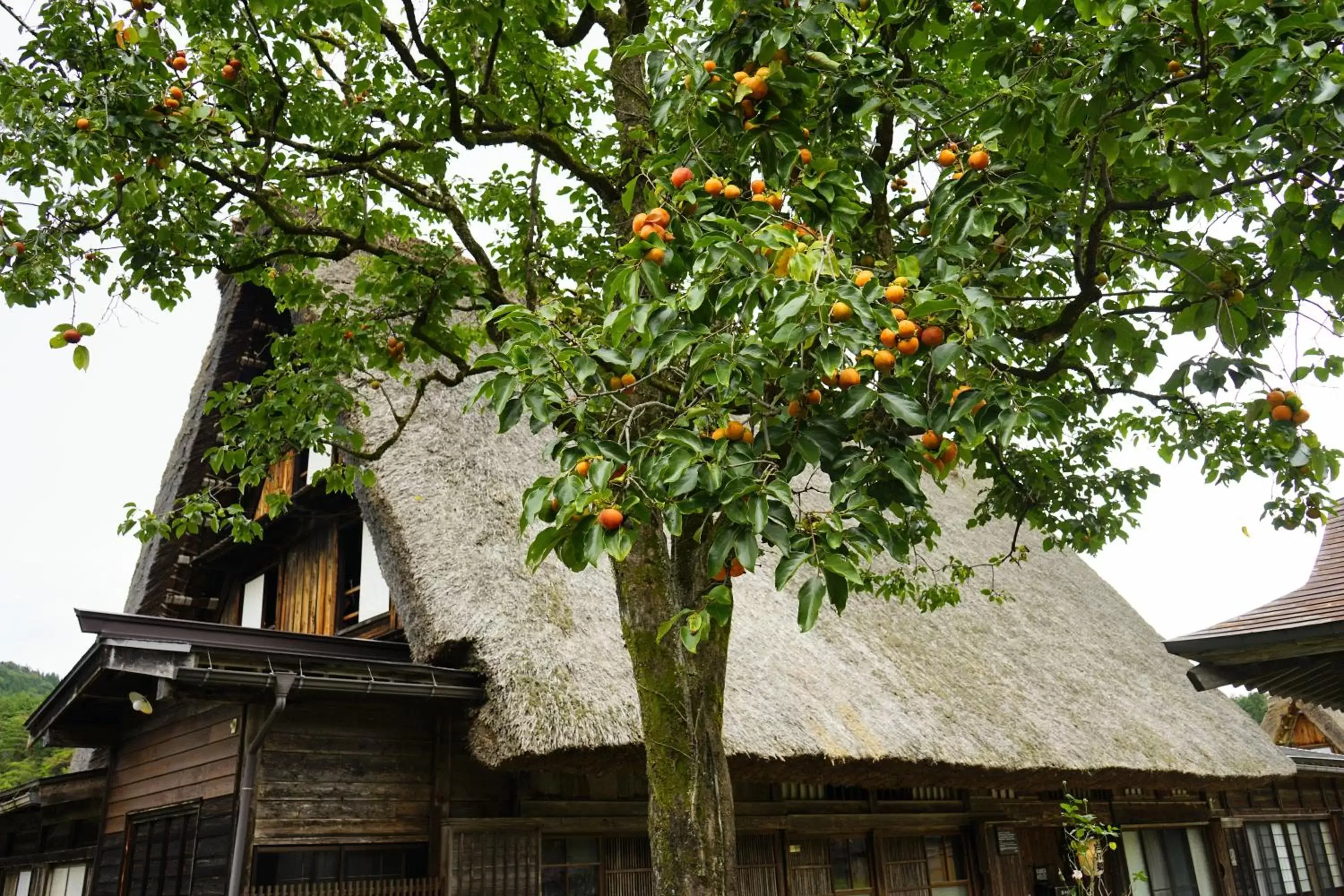 Nearby landmark, Property Building in Hotel Associa Takayama Resort