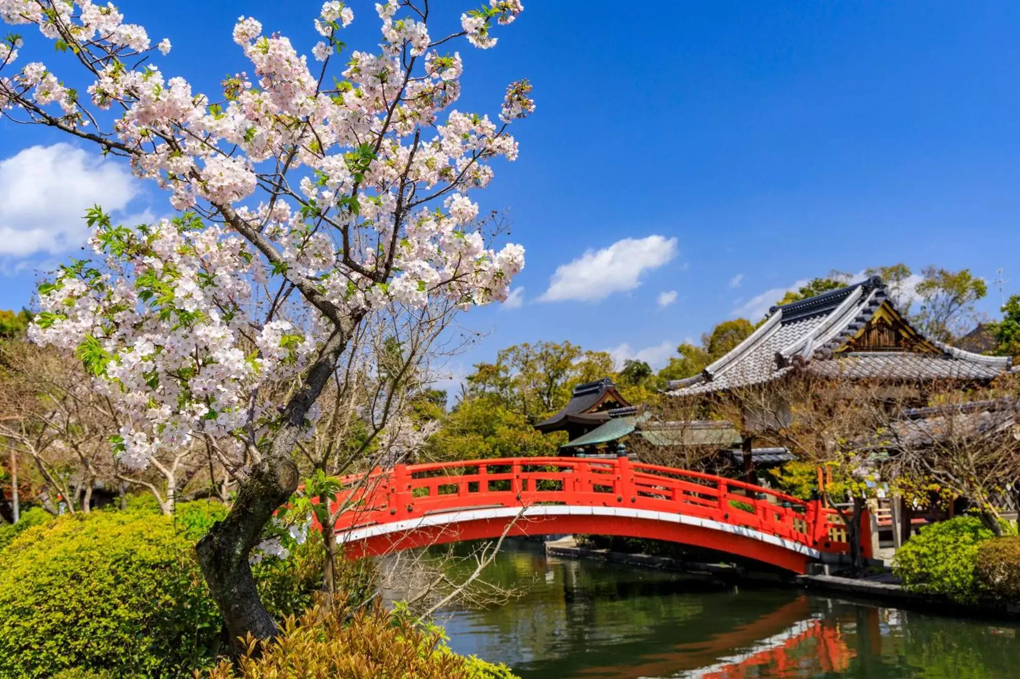 Nearby landmark, Property Building in Tabist Kyogura Kyoto Nijo