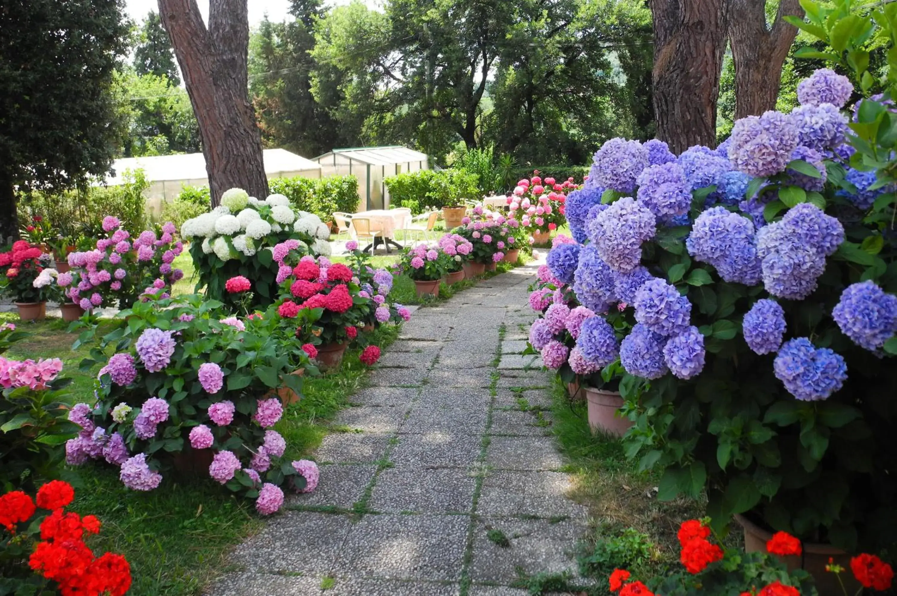 Garden in Hotel Le Renaie