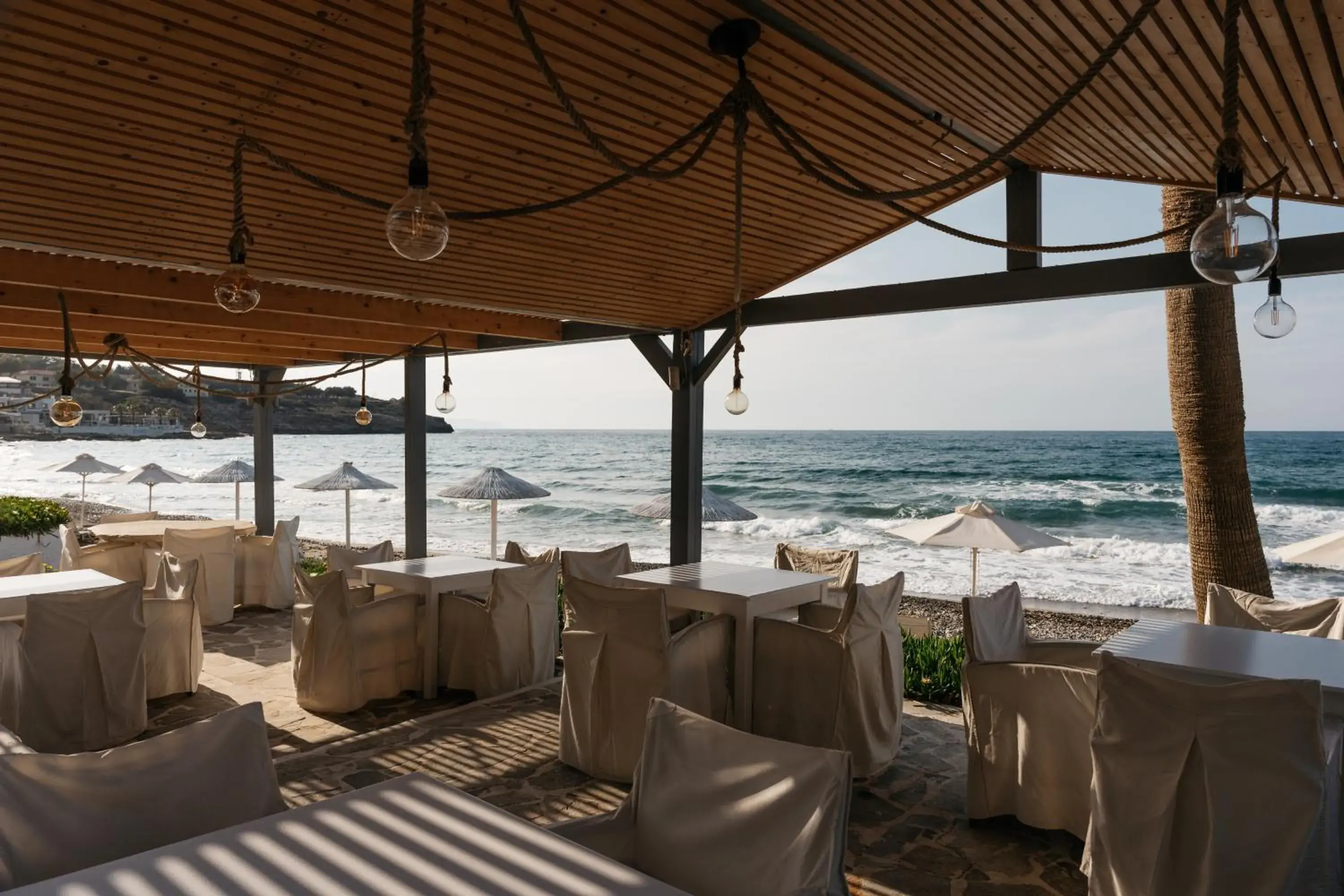 Restaurant/places to eat in Petradi Beach Lounge Hotel Restaurant/places to eat in Petradi Beach Lounge Hotel