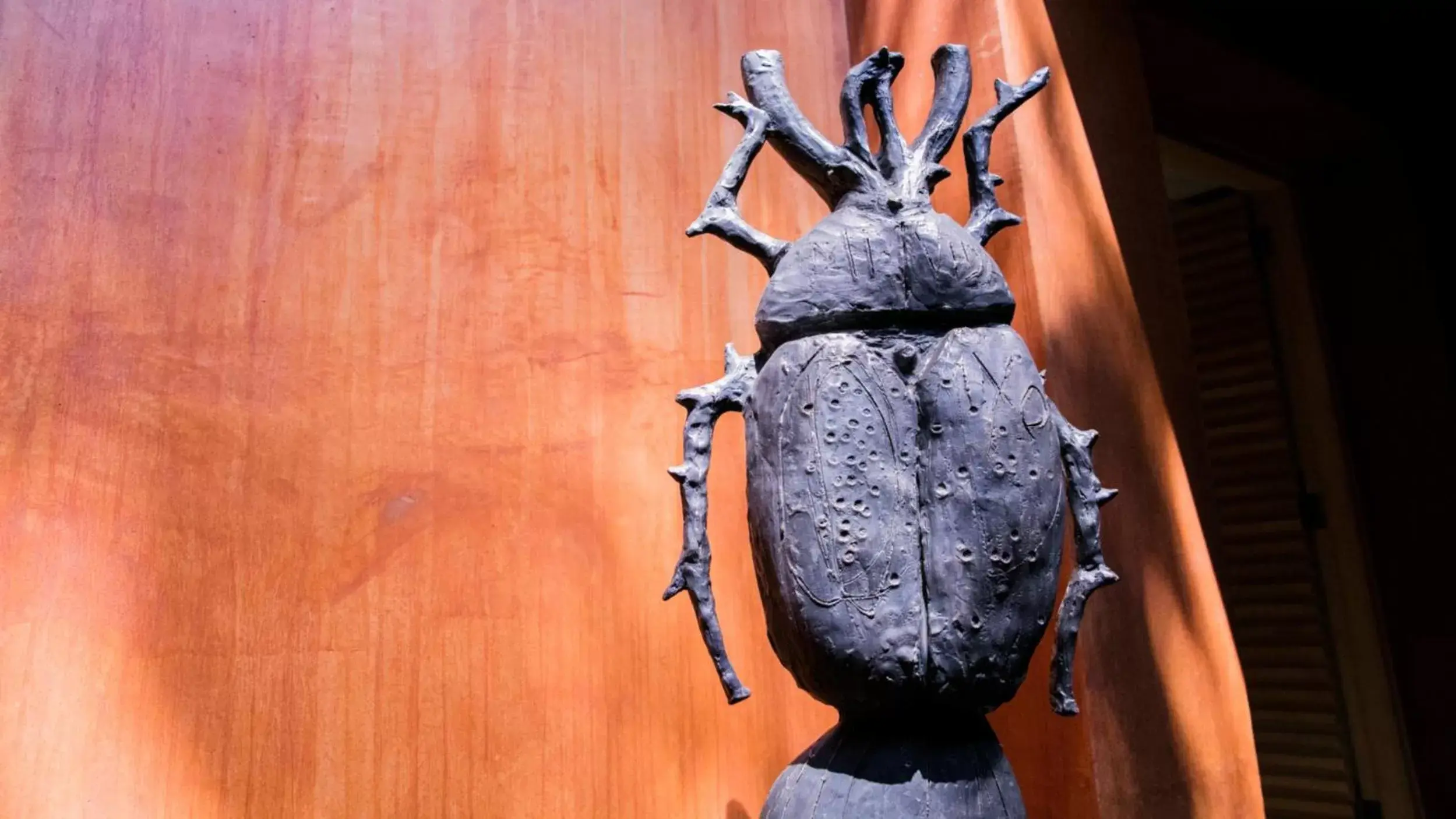 Decorative detail, Other Animals in Casa Carmen Reforma