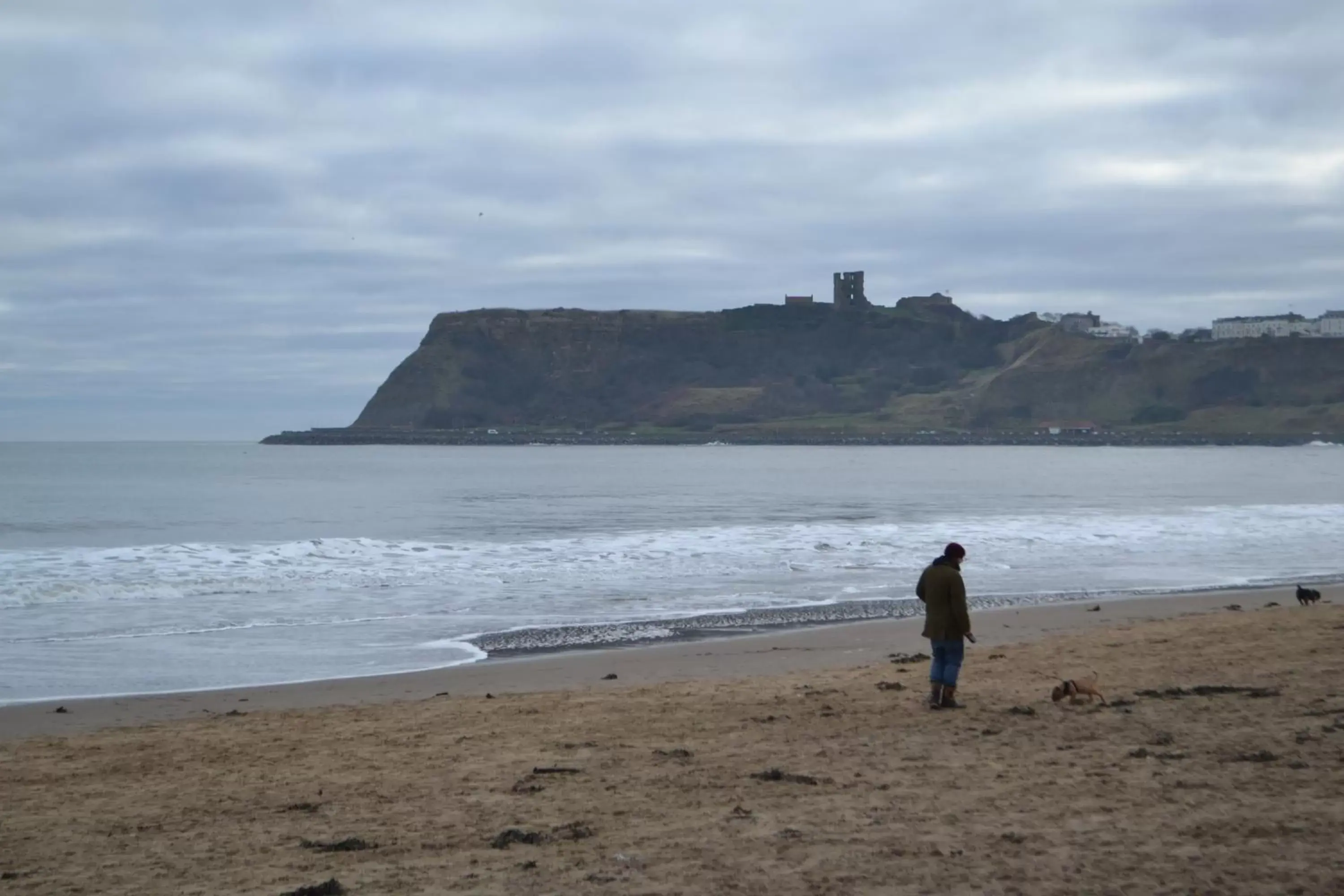 Natural landscape, Beach in The Beaches