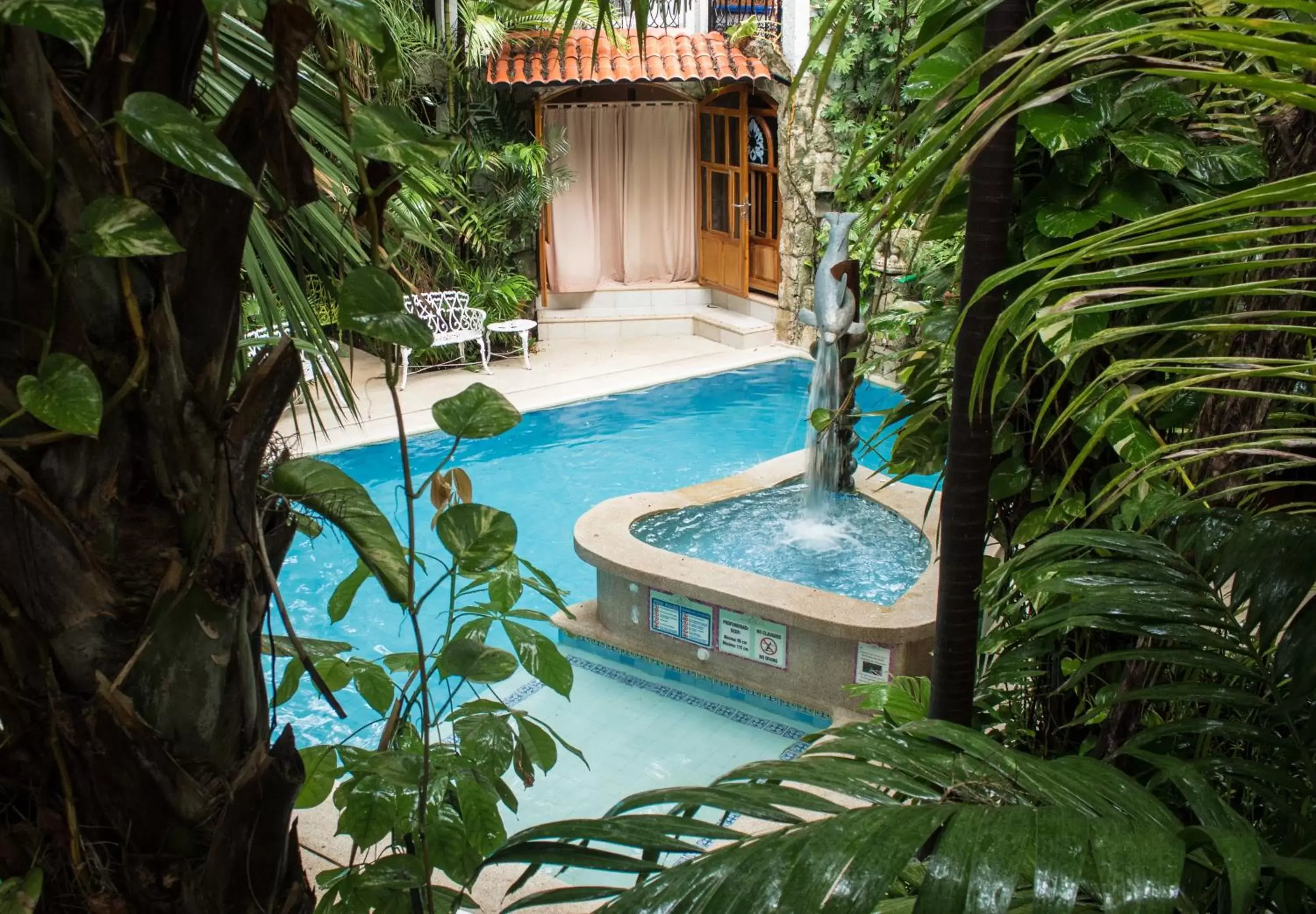 Spring, Swimming Pool in Eco-hotel El Rey del Caribe