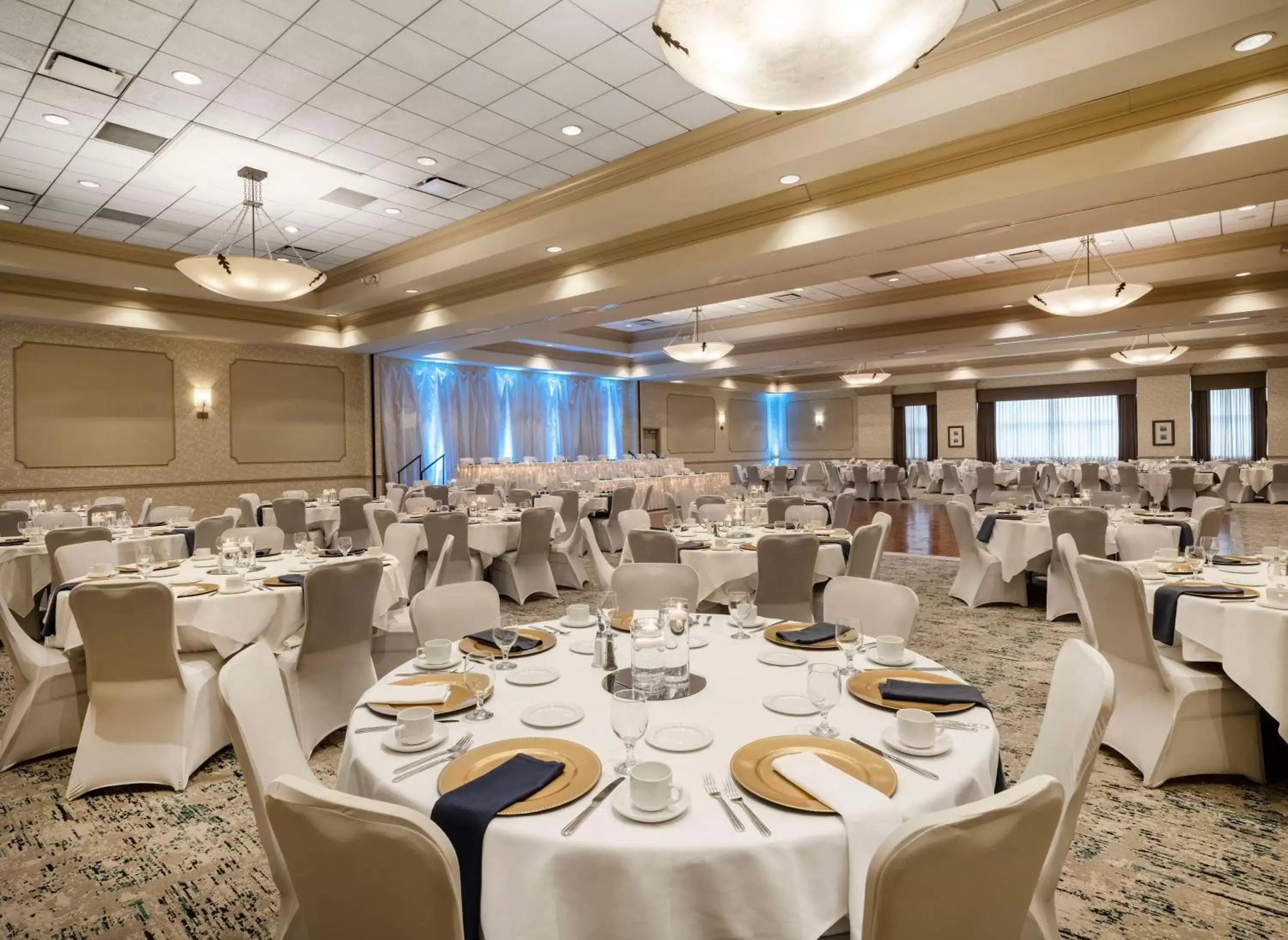Meeting/conference room, Banquet Facilities in Hilton Garden Inn Cleveland/Twinsburg