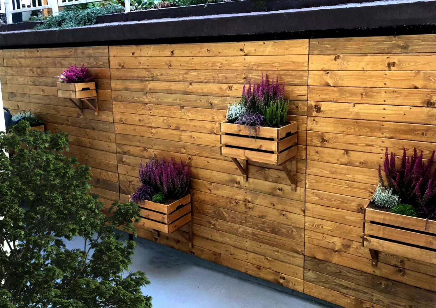 Patio in Alfons Boutique Hotel