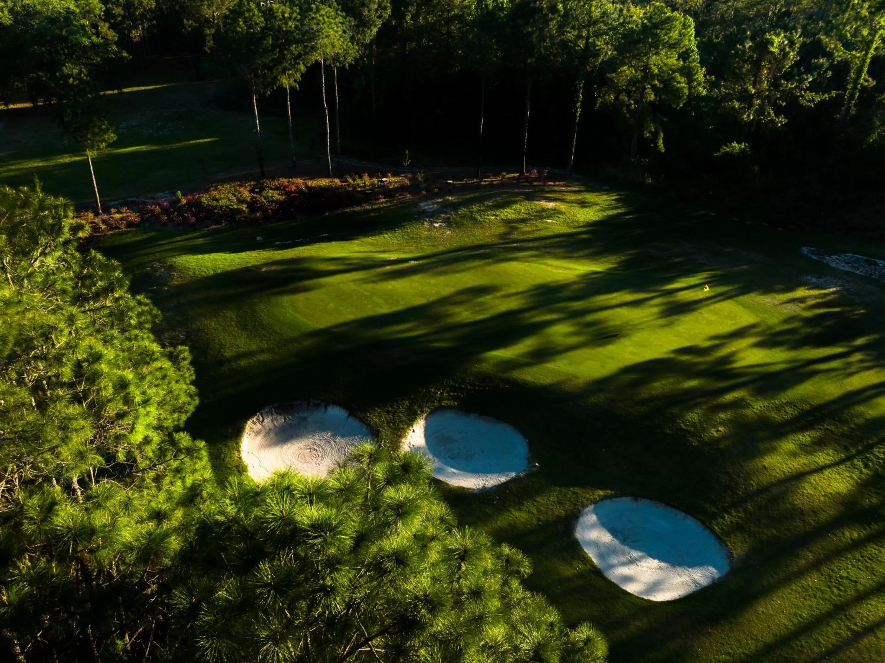 Golfcourse in Mission Resort and Club