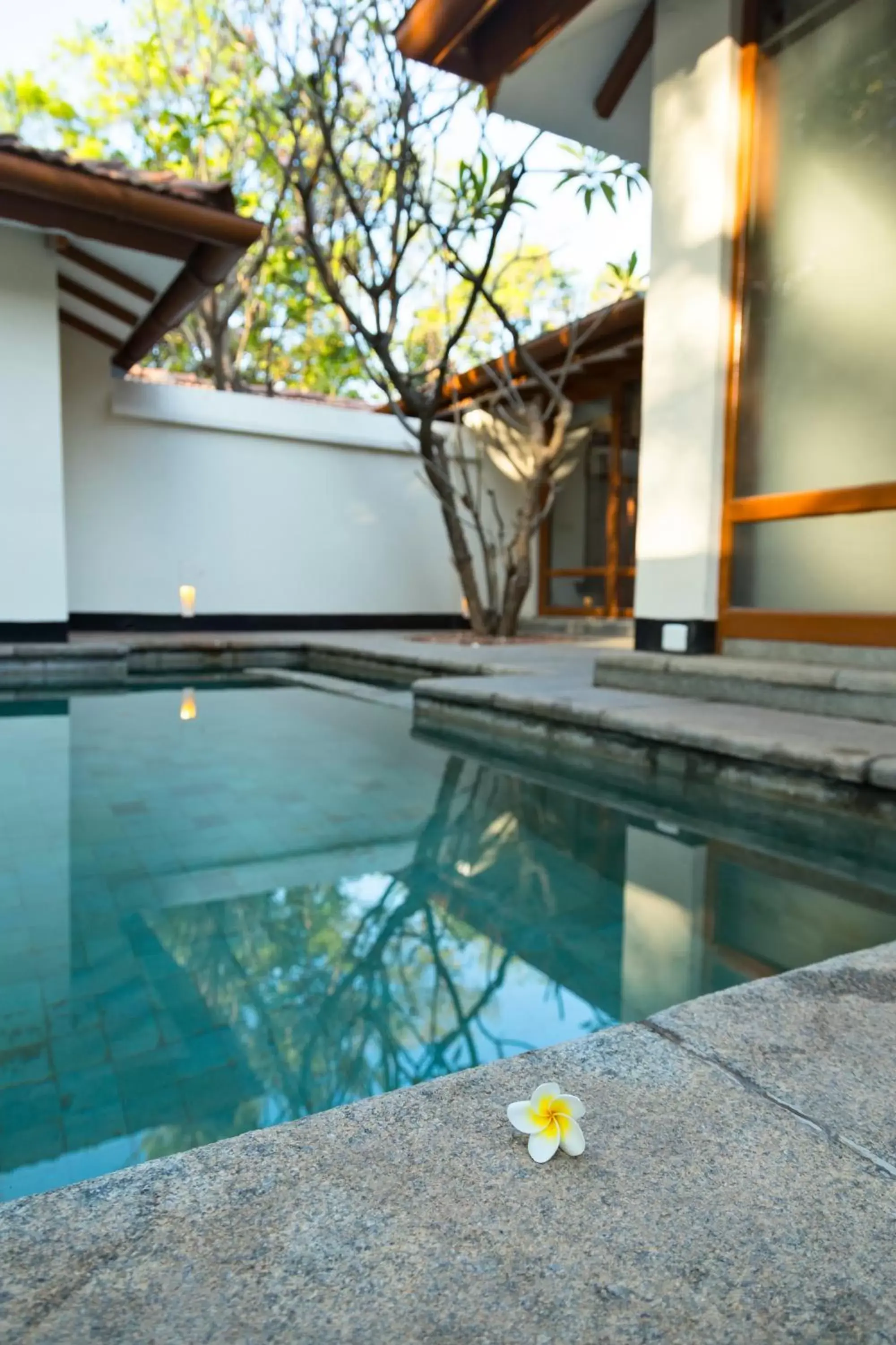 Swimming Pool in Heritage Madurai