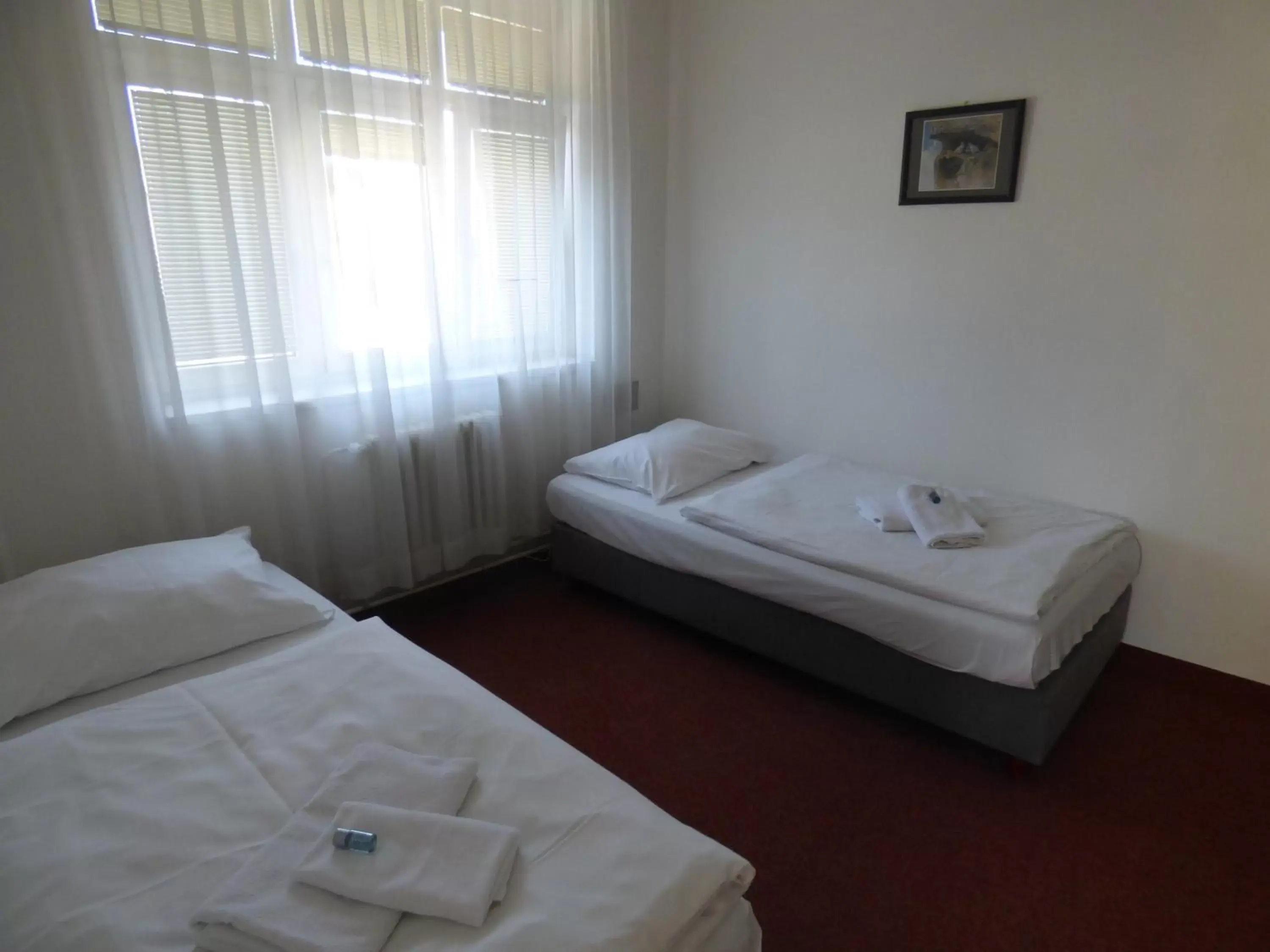 Photo of the whole room, Bed in Hotel Svornost