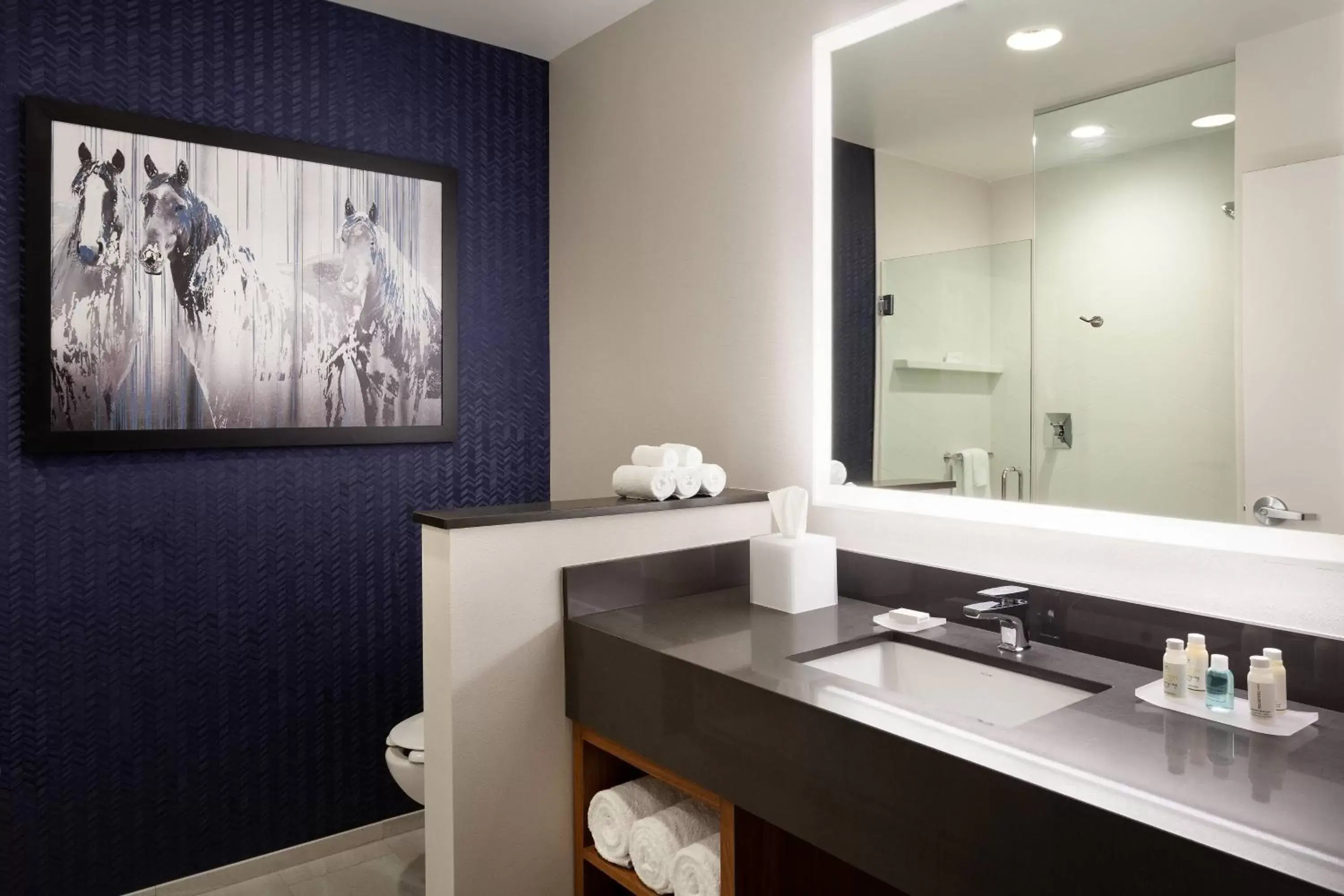Bathroom in Fairfield Inn & Suites by Marriott Wellington-West Palm Beach