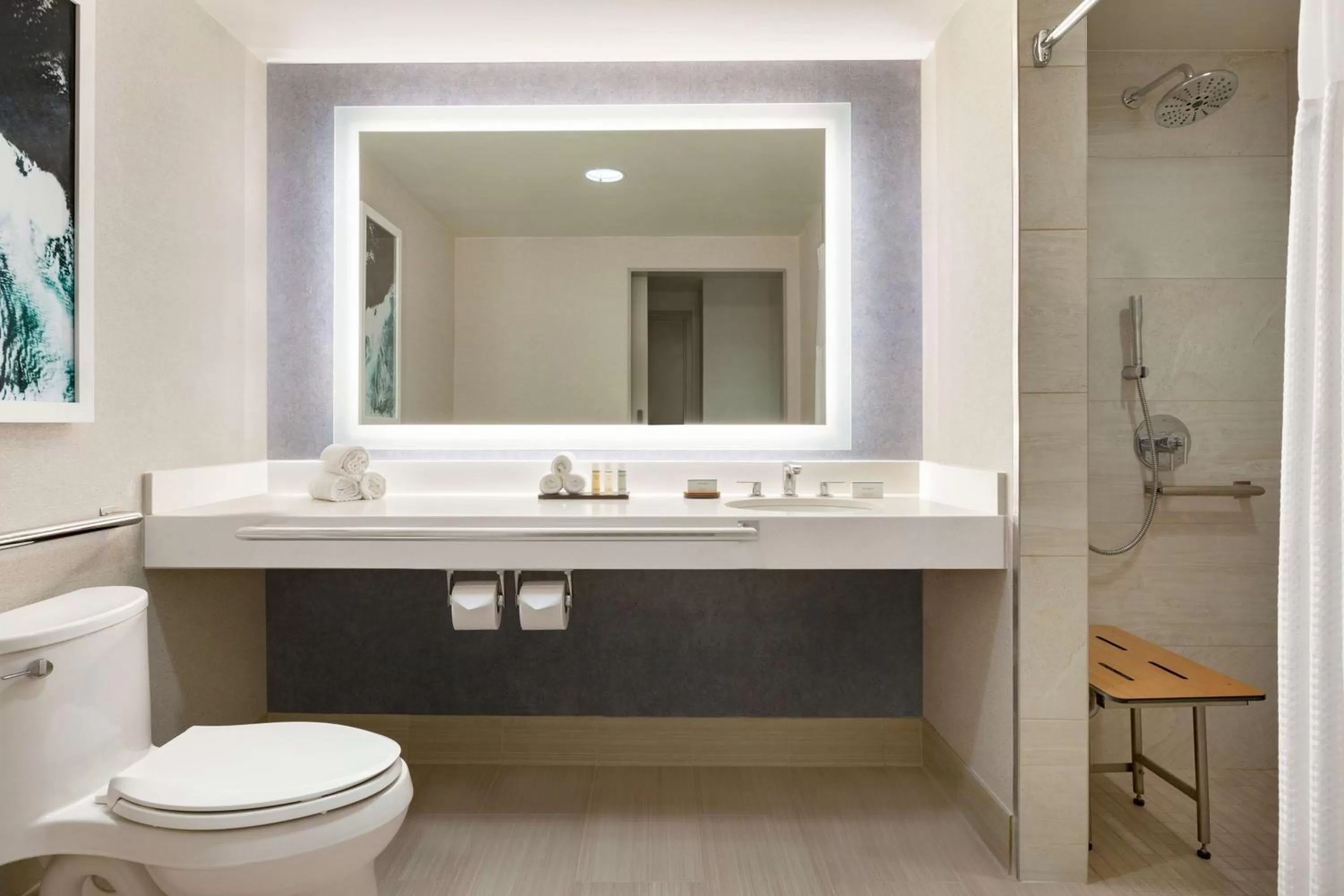 Bathroom in Embassy Suites by Hilton Monterey Bay Seaside