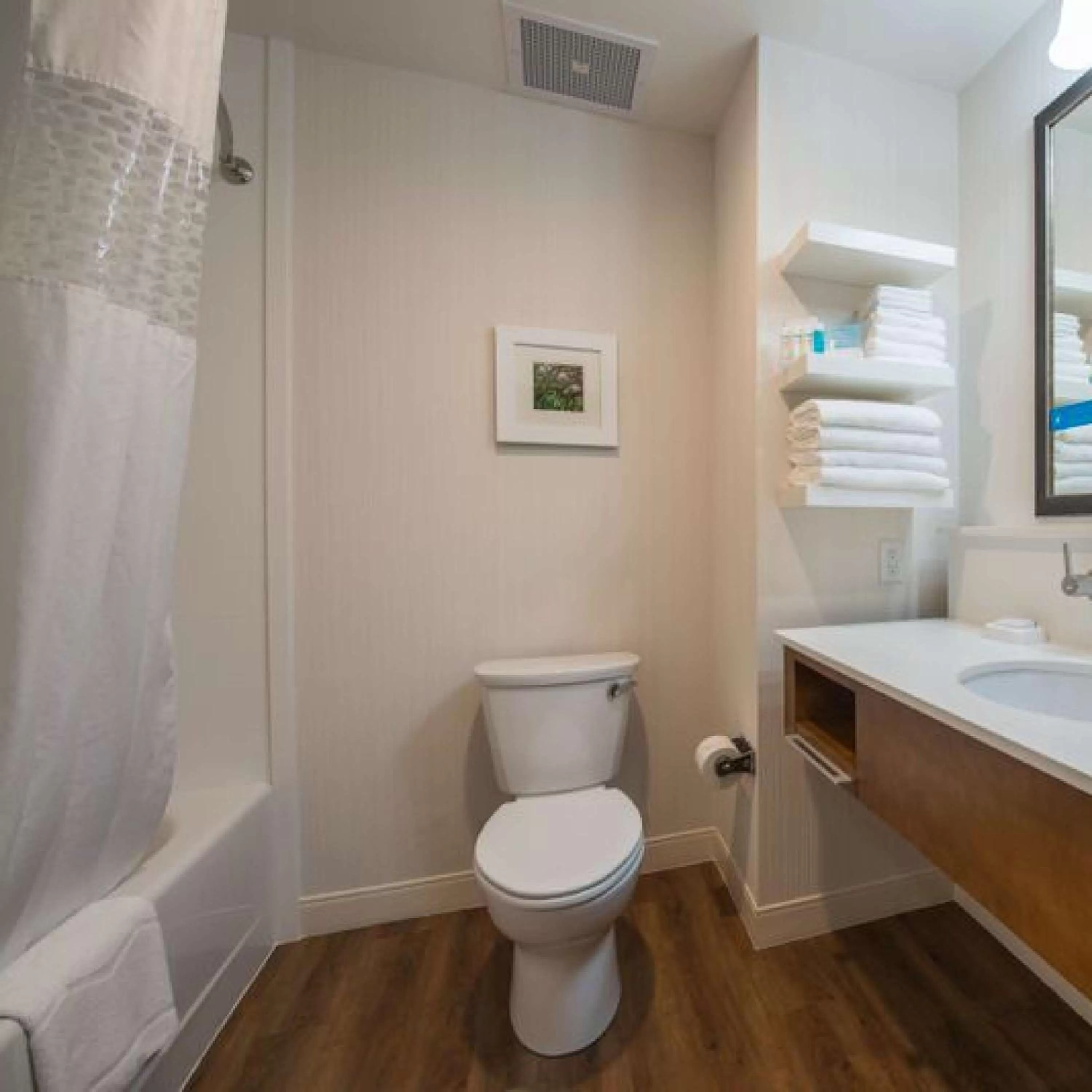 Bathroom in Hampton Inn Waynesboro