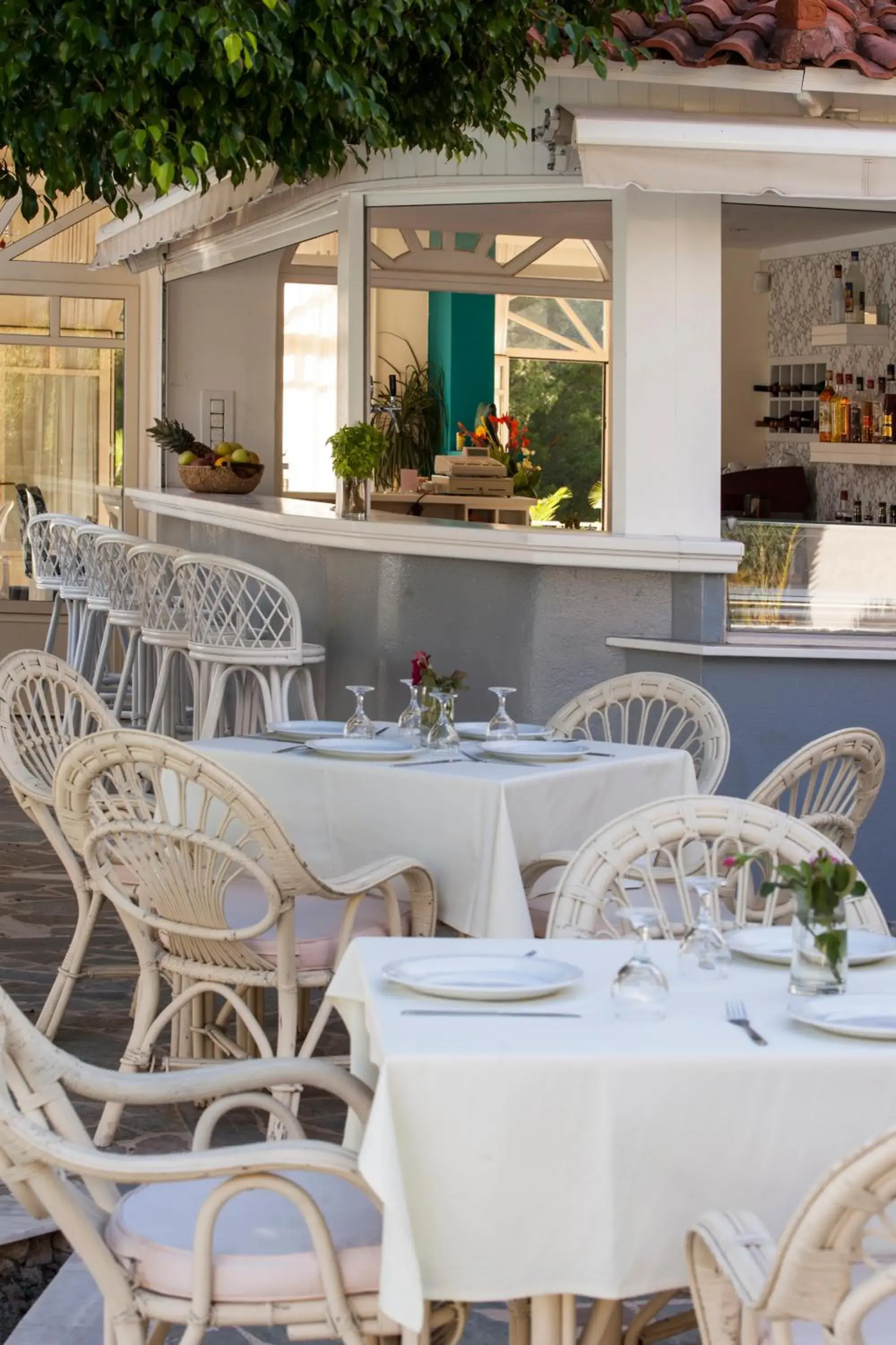 Lounge or bar in Princess Hotel Lounge or bar in Princess Hotel