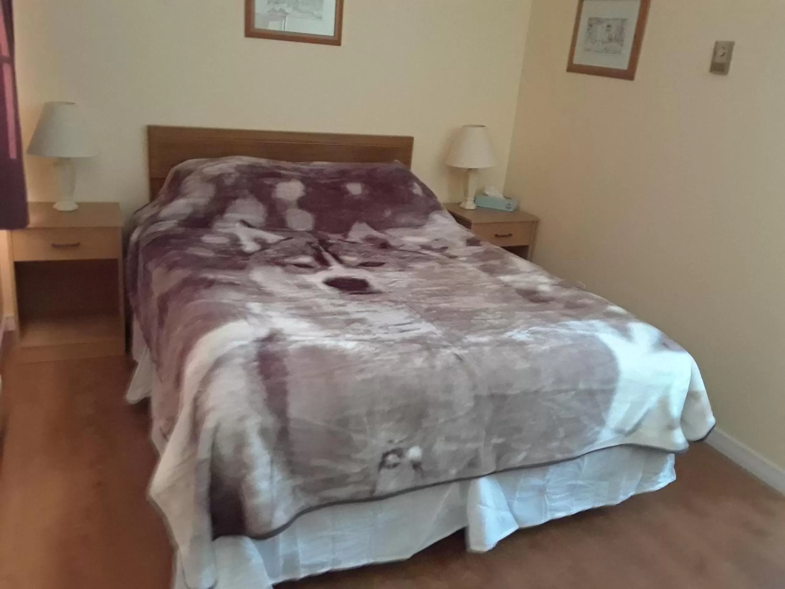 Bed in Mountain View Motel