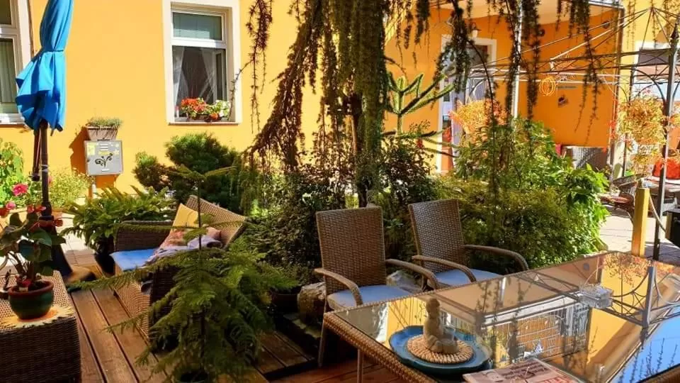 Garden in Hostel Sonce