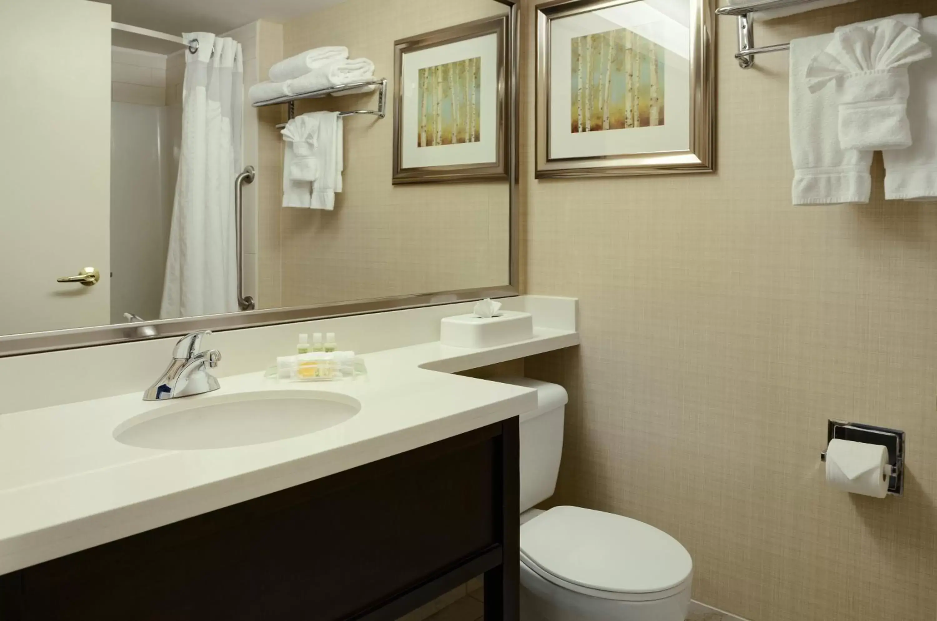 Bathroom in Holiday Inn Conference Centre Edmonton South, an IHG Hotel