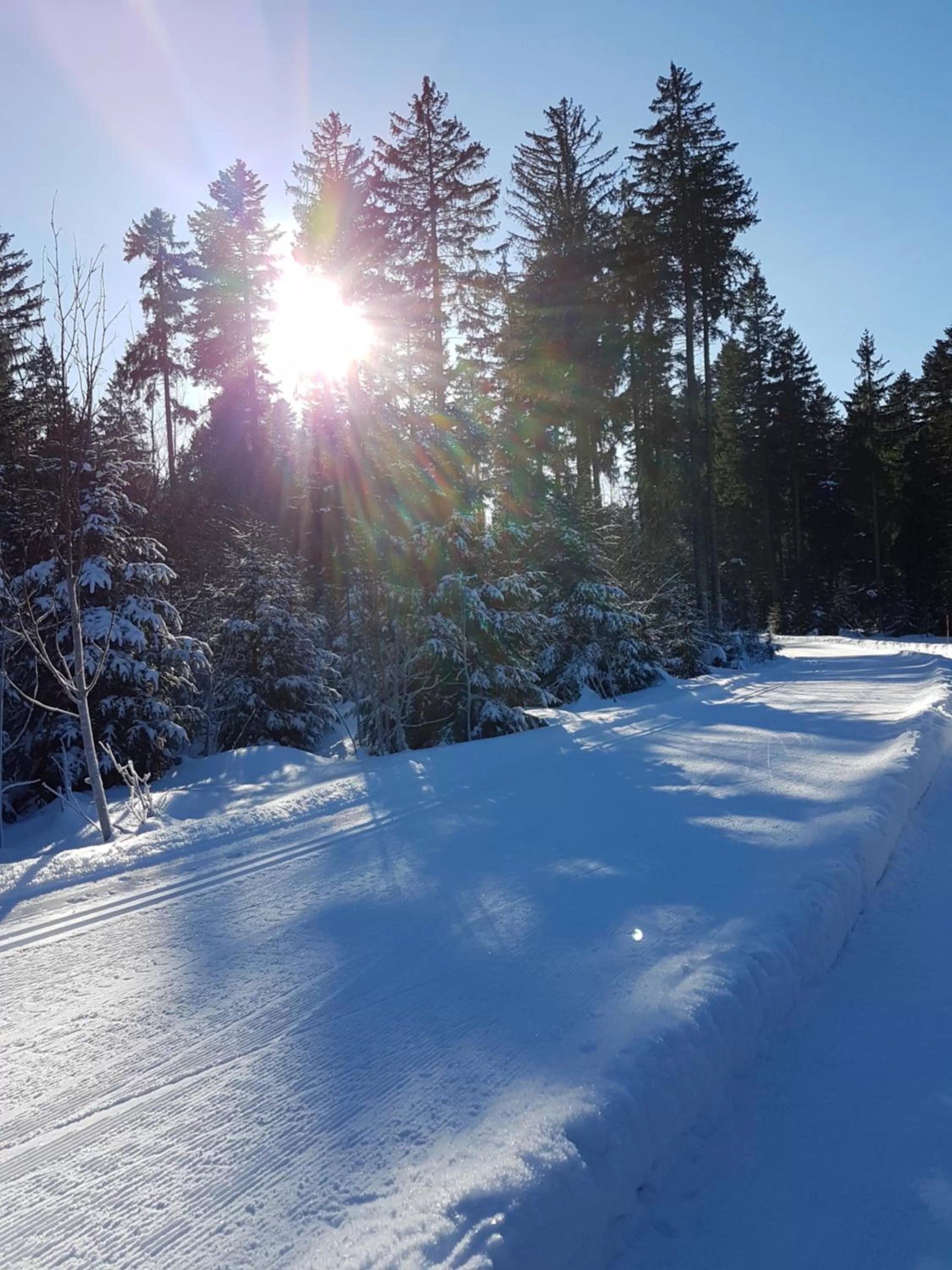 Natural landscape in Hotel Restaurant Kniebishöhe