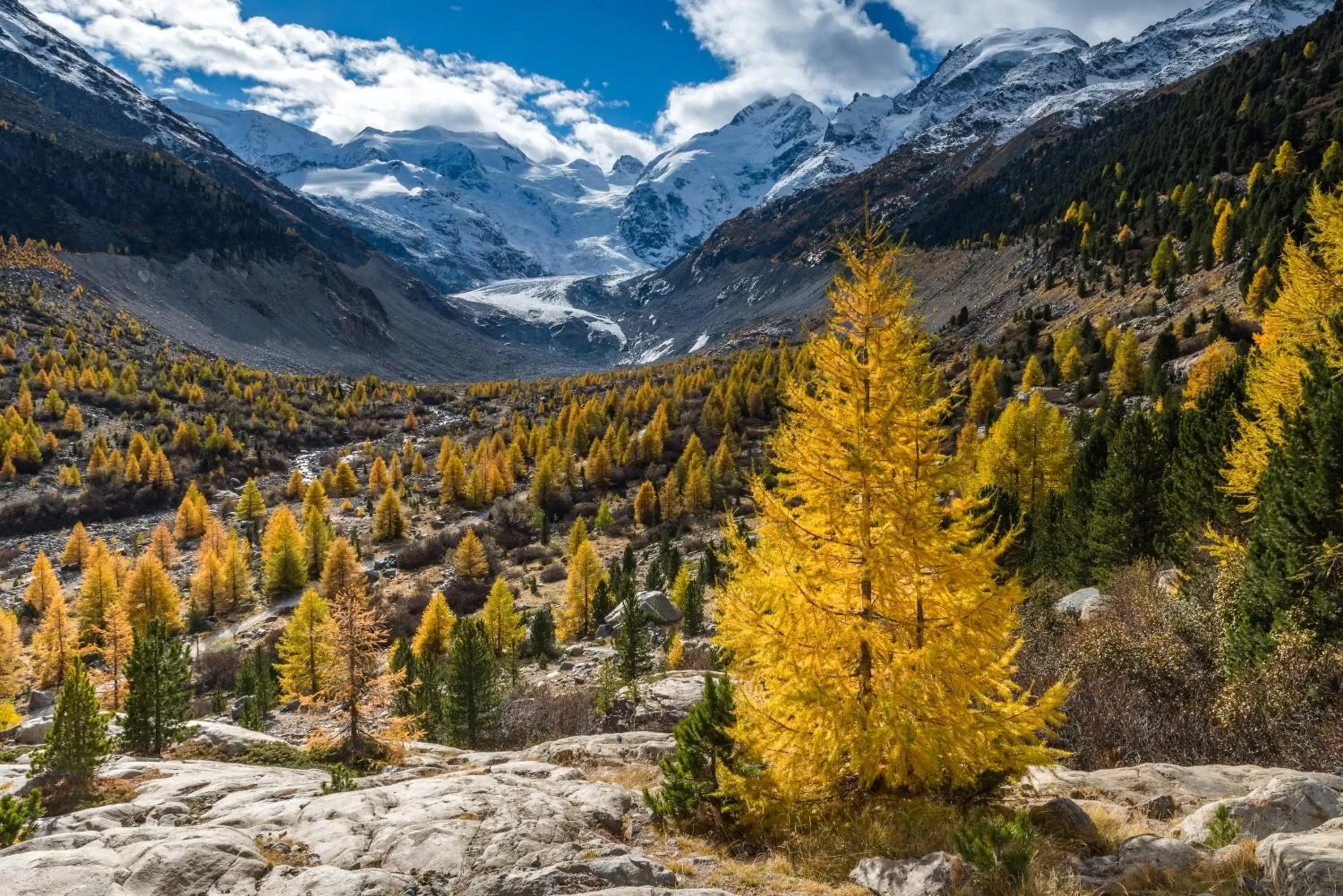 Natural Landscape in Gletscher-Hotel Morteratsch