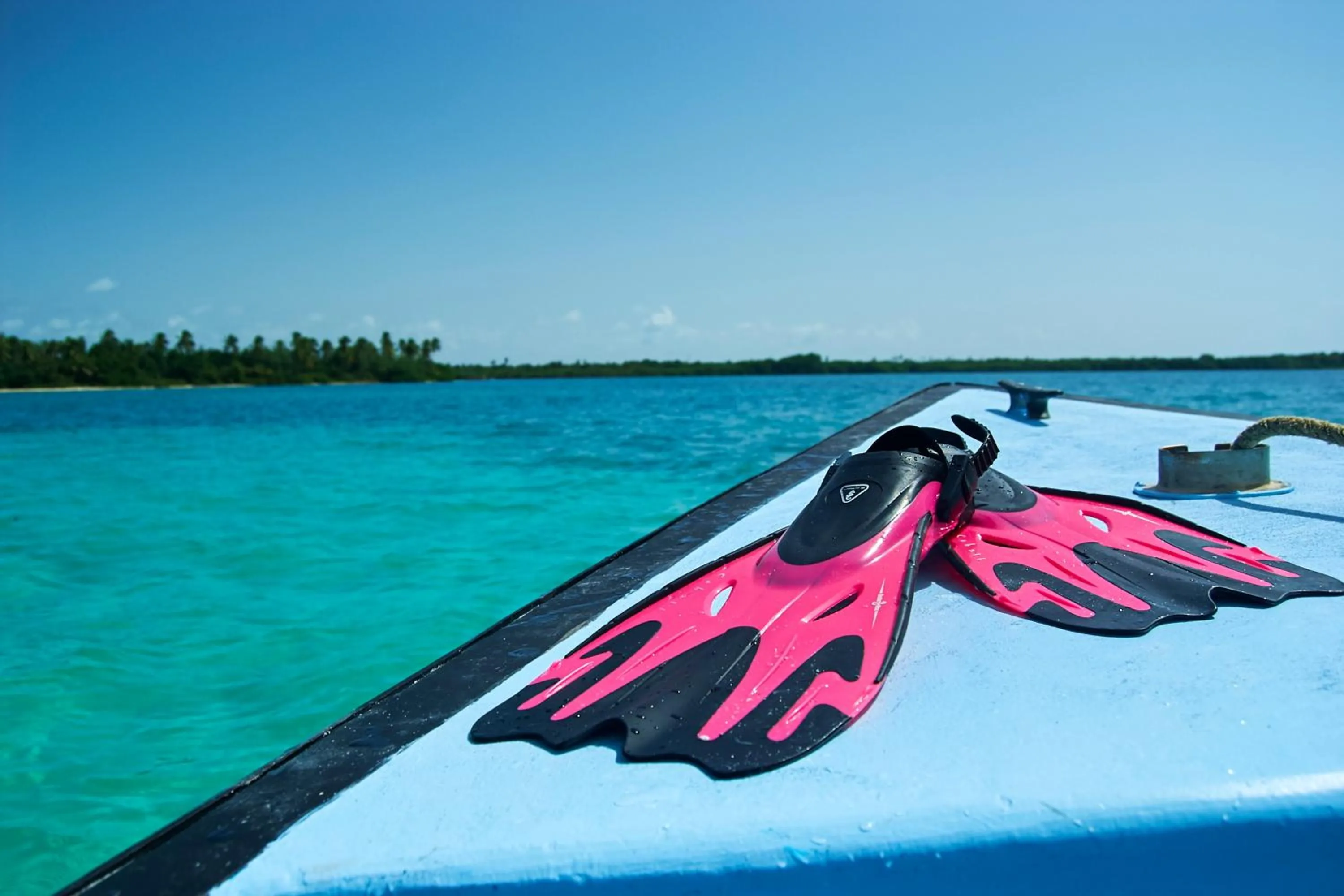 Diving in Mount Irvine Bay Resort