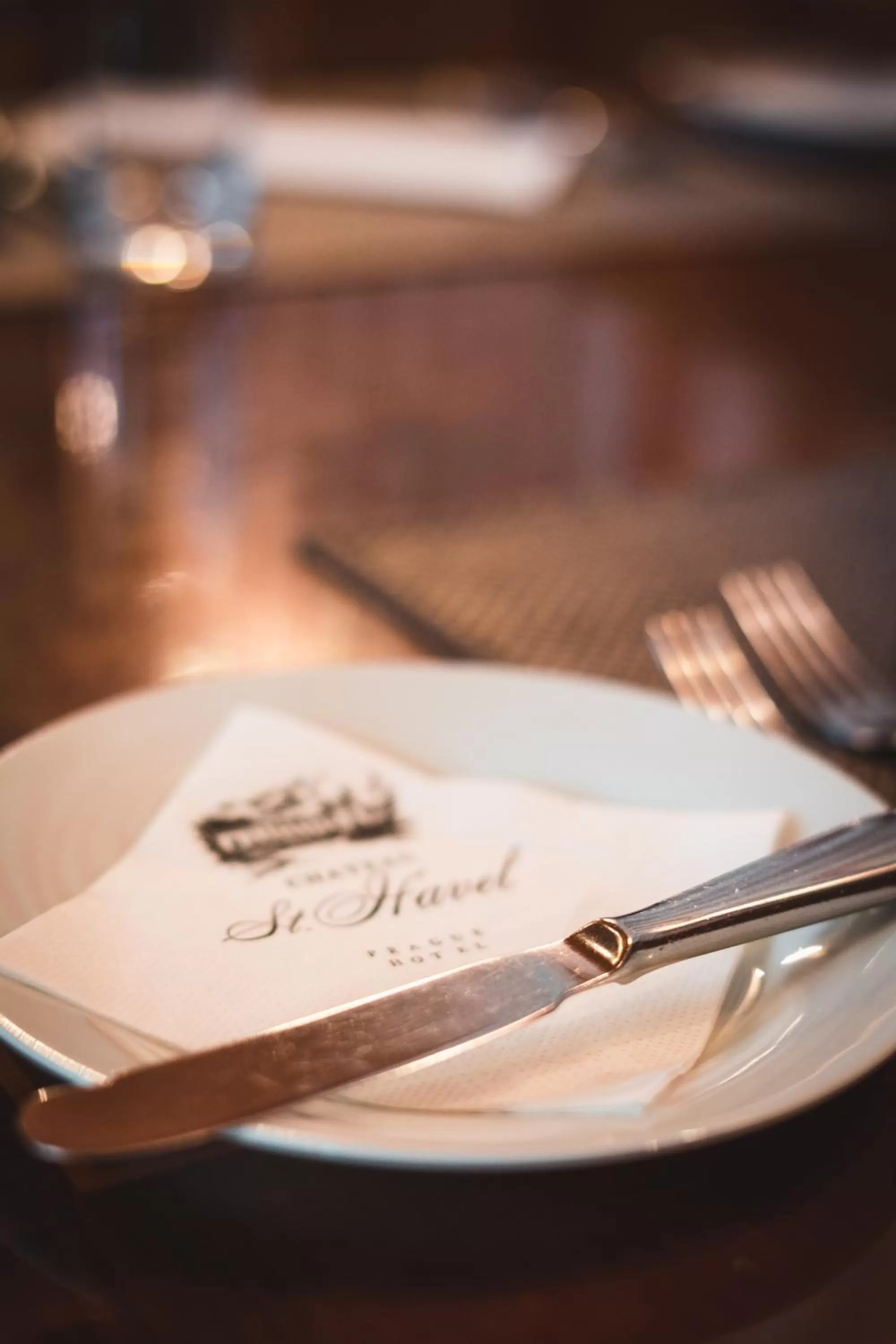 Restaurant/places to eat in Chateau St. Havel - Wellness Hotel