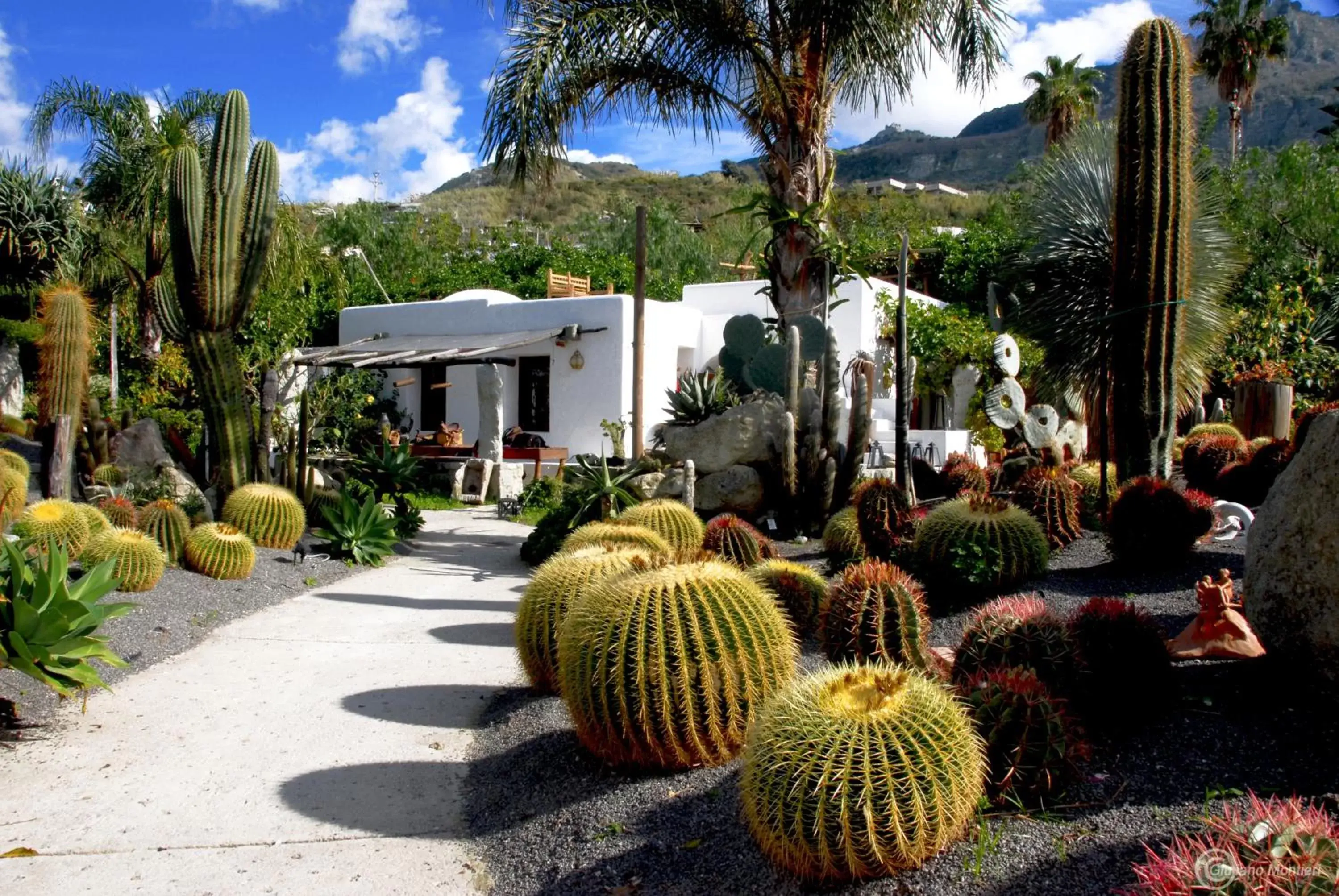 Garden, Property Building in Villa Ravino Aparthotel