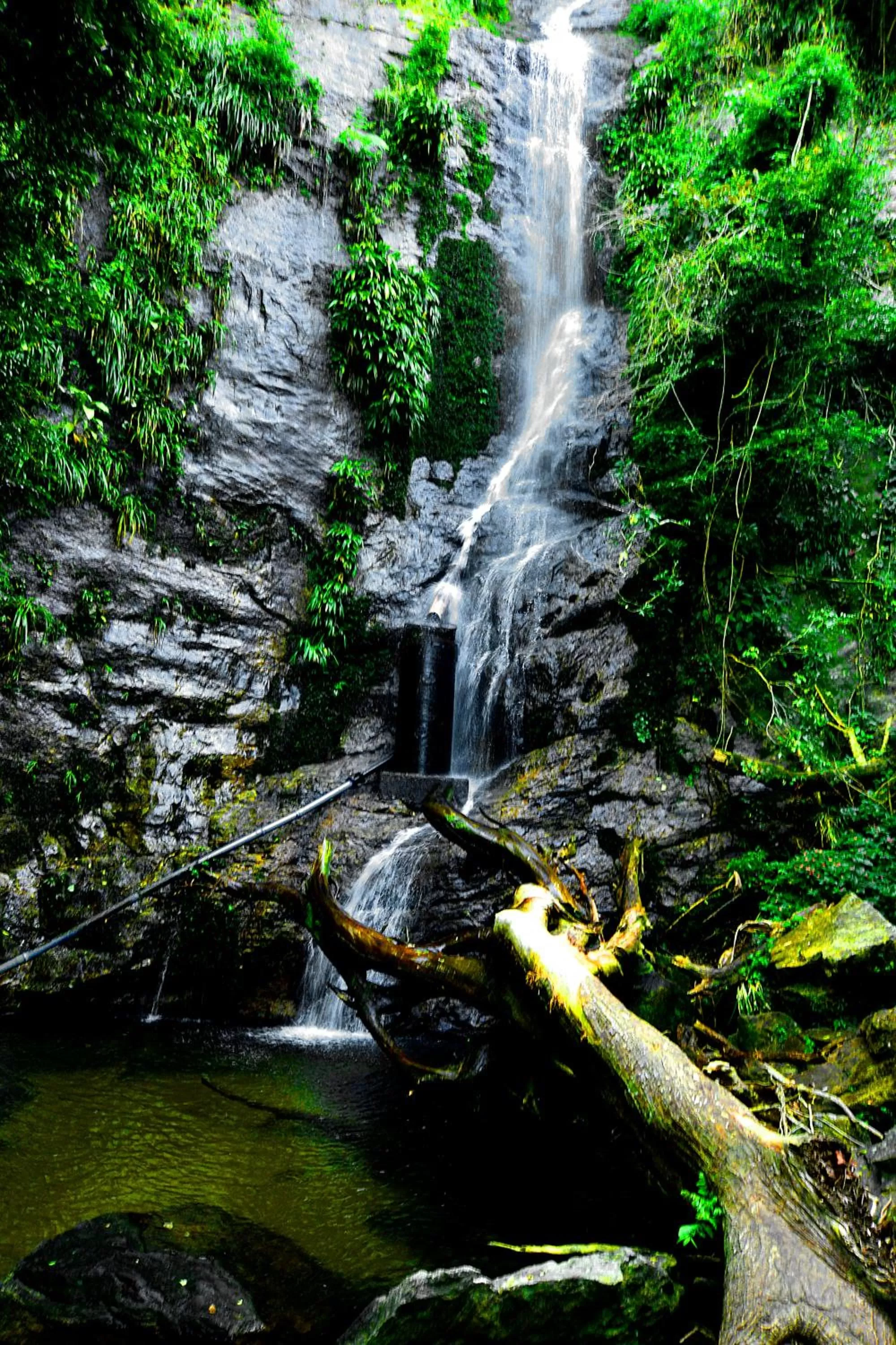 Pousada e SPA Shiva São Sebastião 200mts da praia