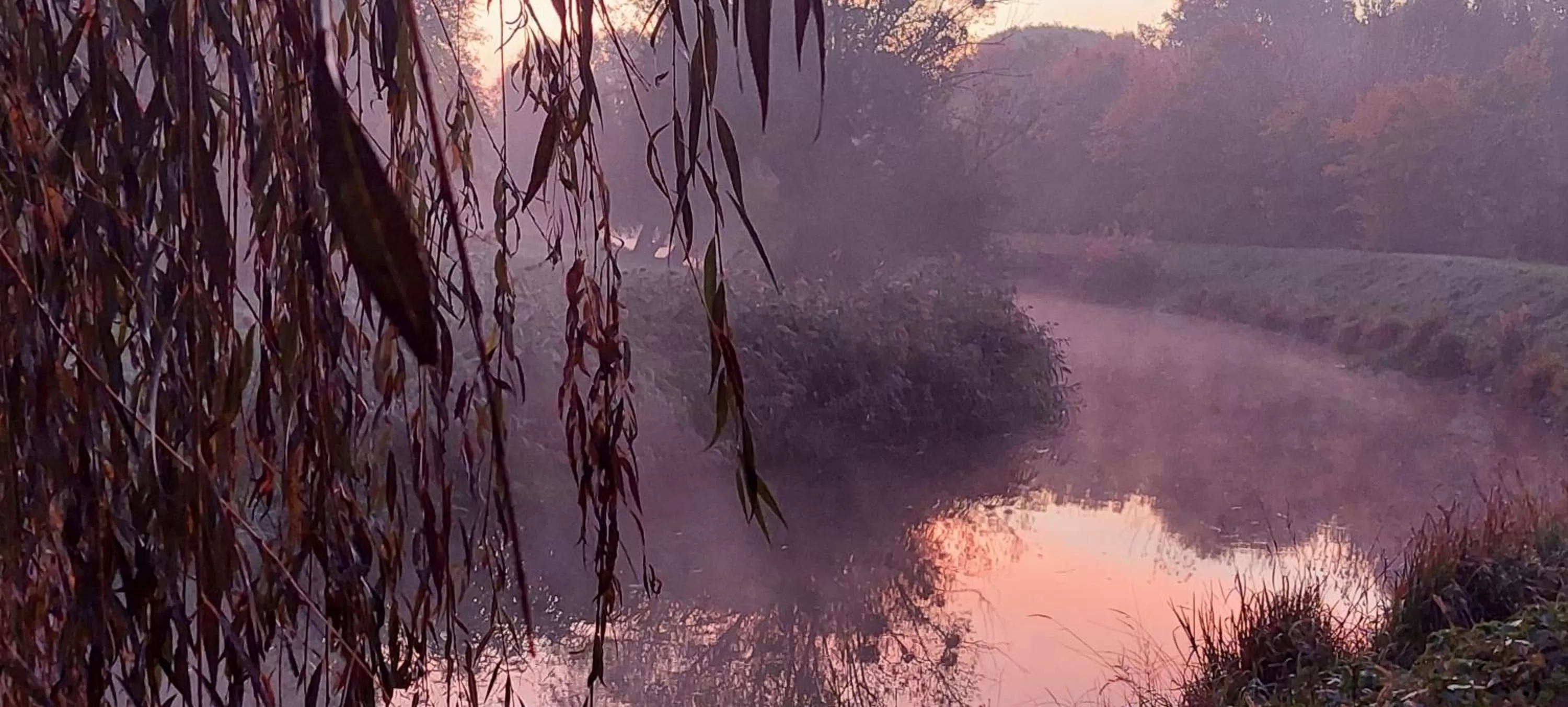 Natural landscape in Hotel Panorama