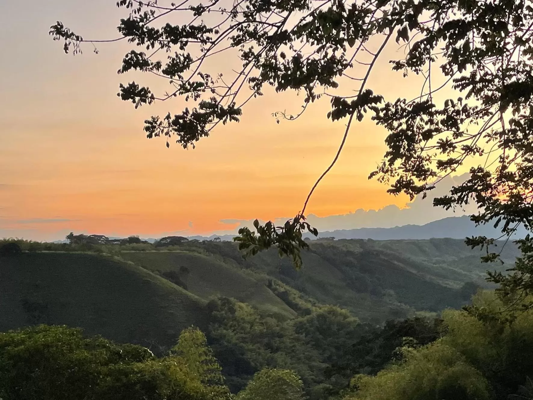 View (from property/room) in MuchoSur Quimbaya