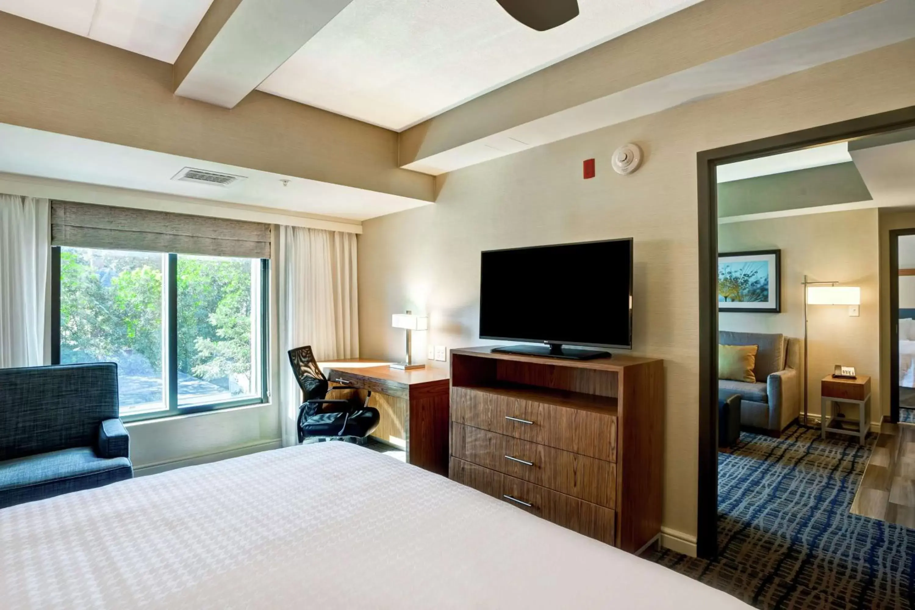 Bedroom, TV/Entertainment Center in Homewood Suites by Hilton Boston Brookline-Longwood Medical