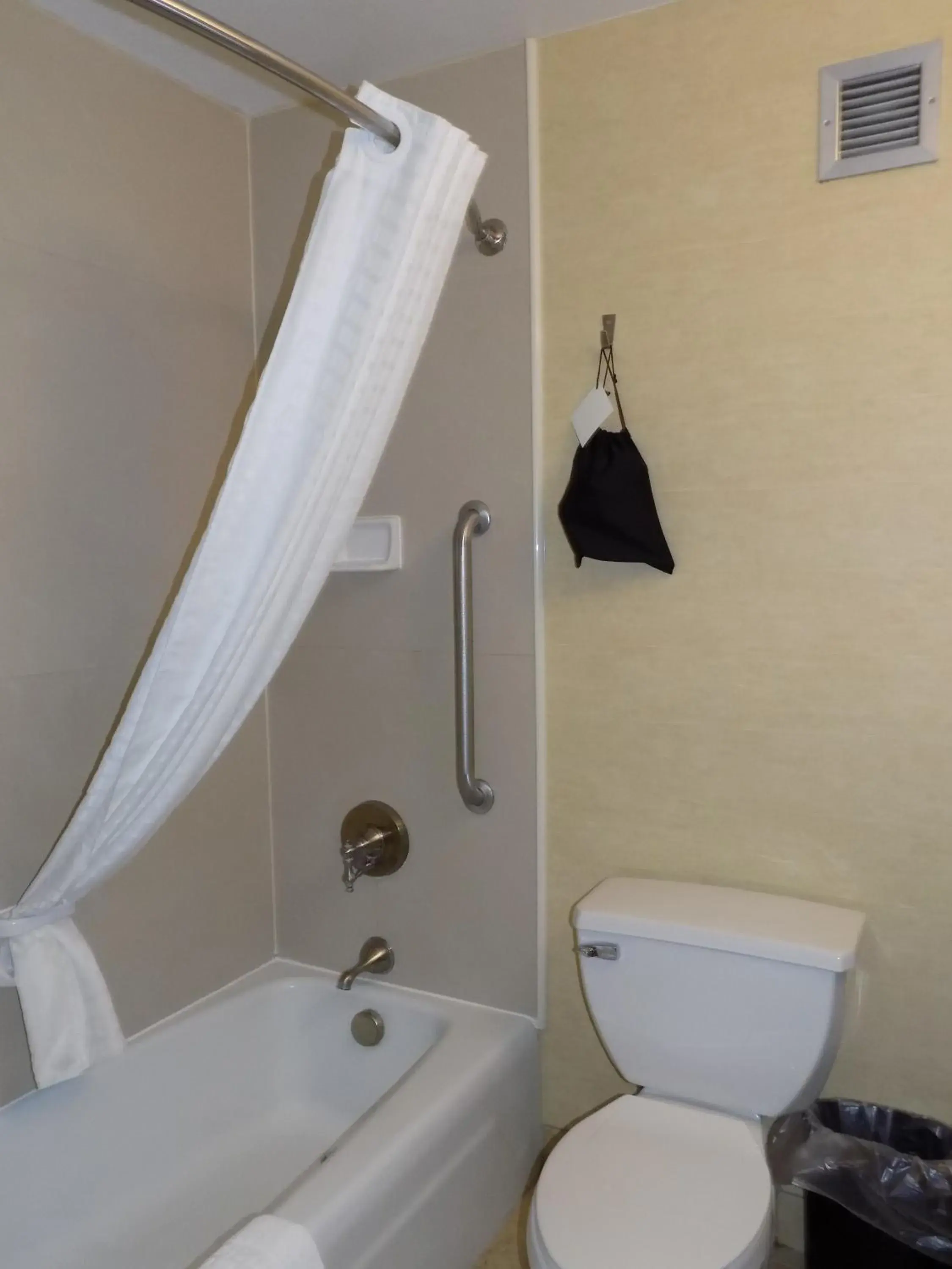 Bathroom in Best Western Plus Portage Hotel and Suites