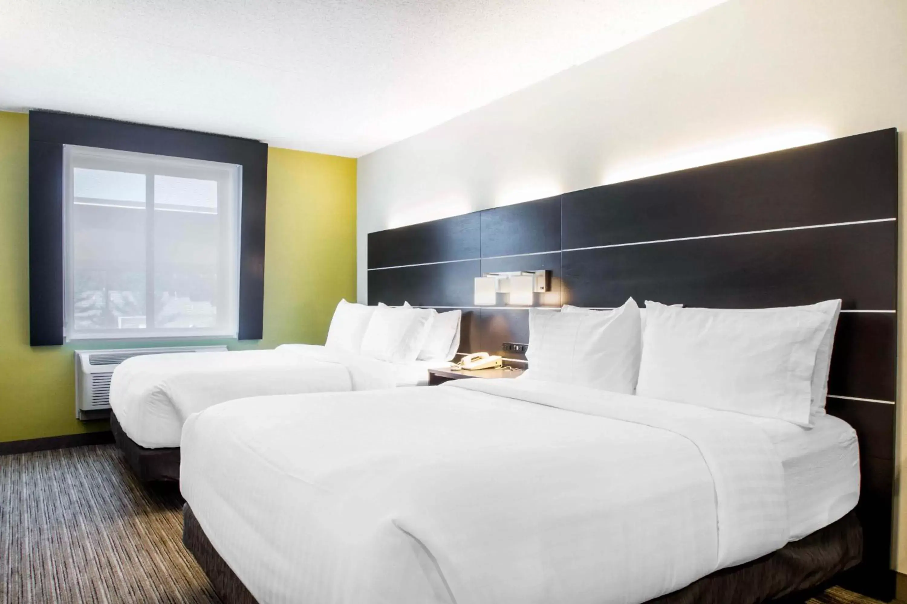 Photo of the whole room, Bed in Holiday Inn Express & Suites - Albany Airport - Wolf Road, an IHG Hotel