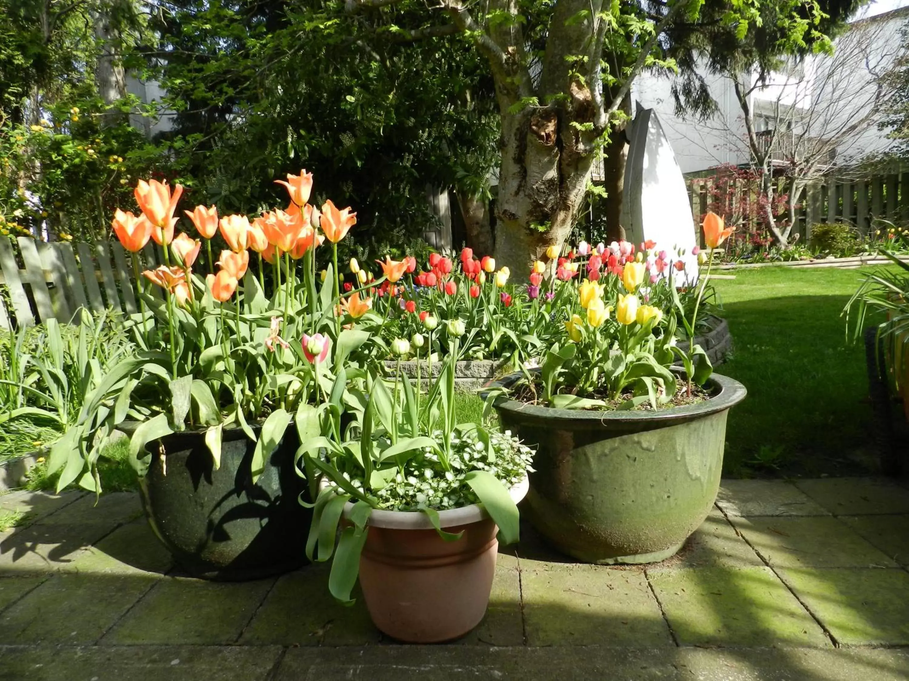 Garden, Patio/Outdoor Area in Serenity