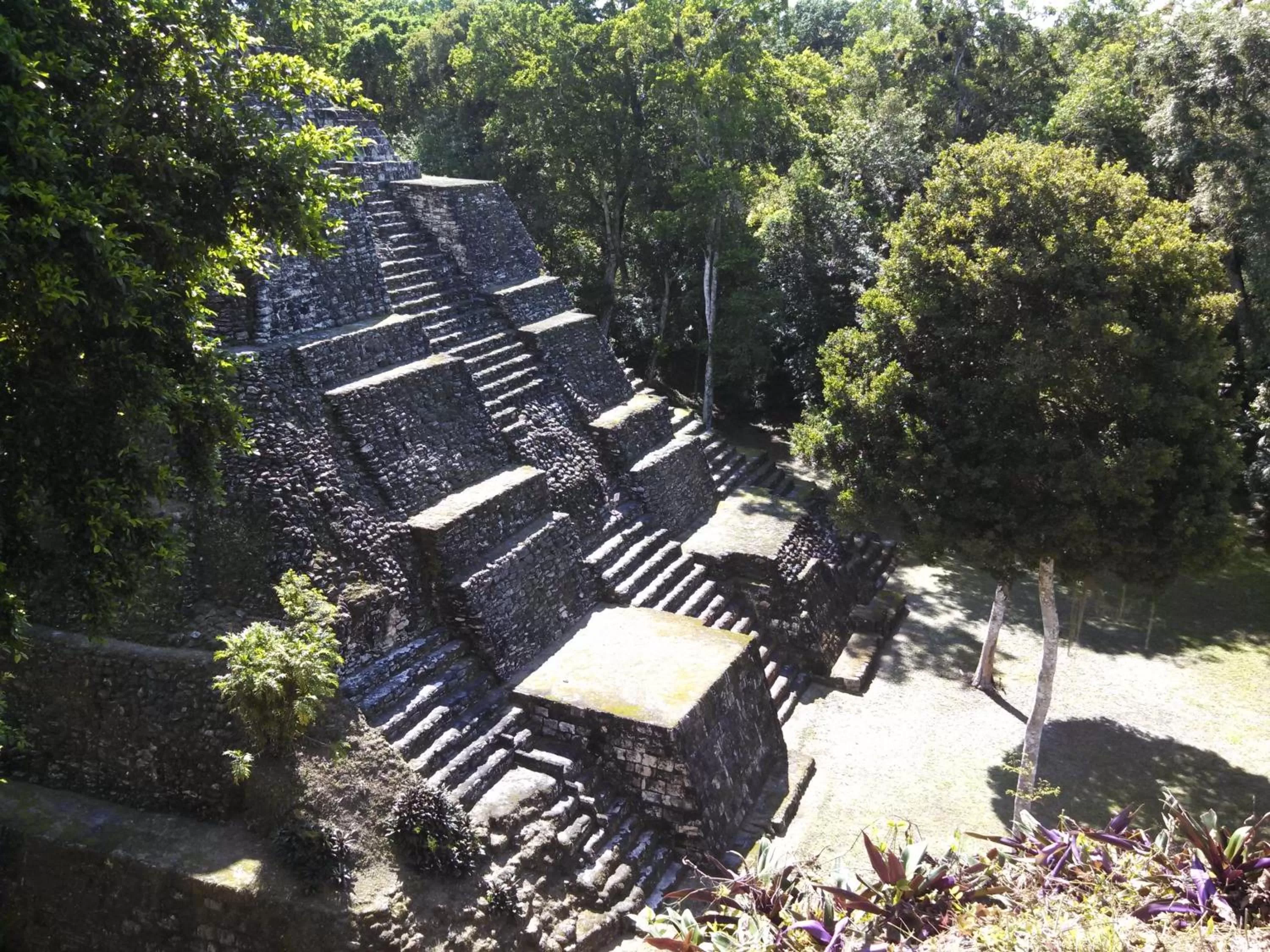 Natural landscape in Zapote Tree Inn
